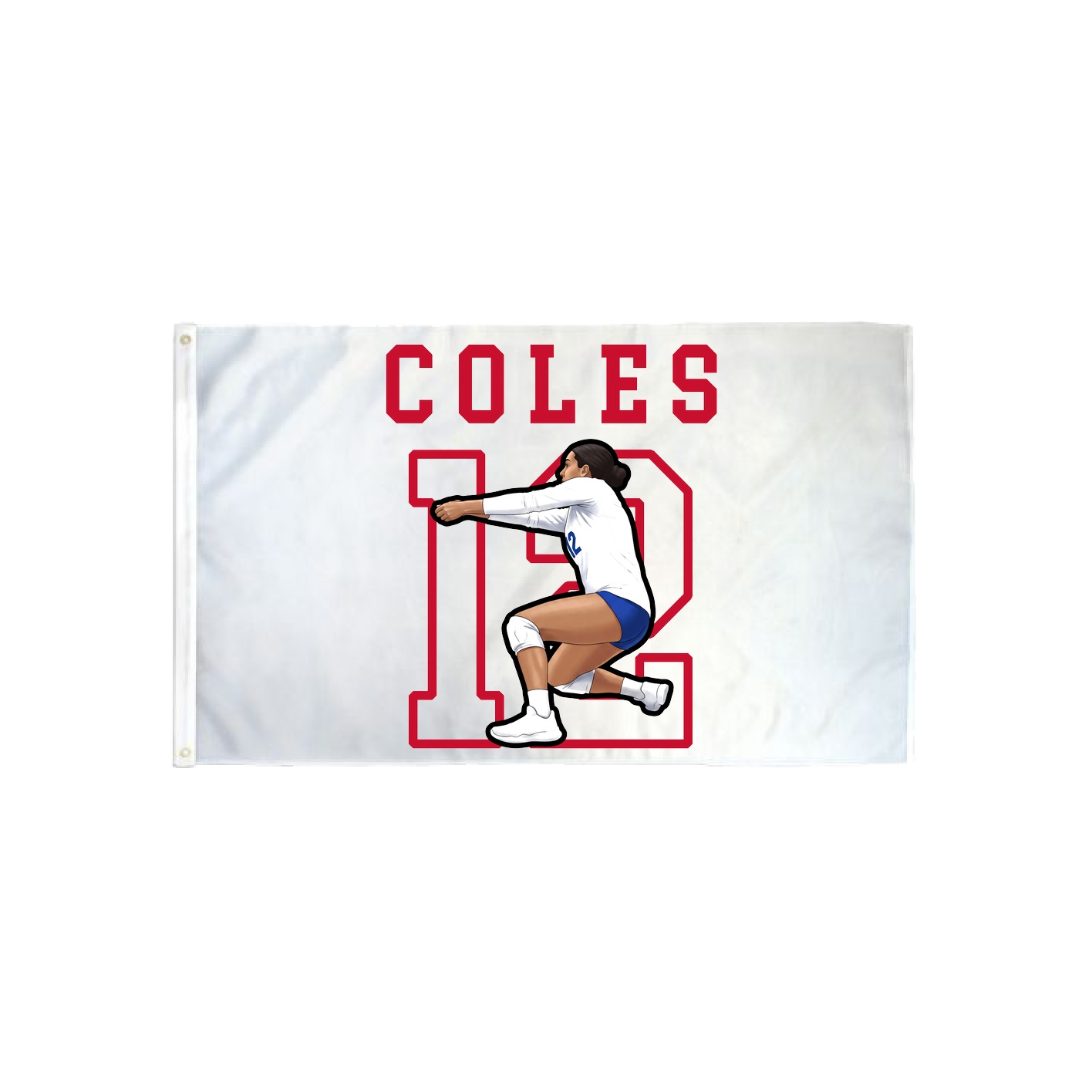 3x5 Flag — Shirsey in Classic