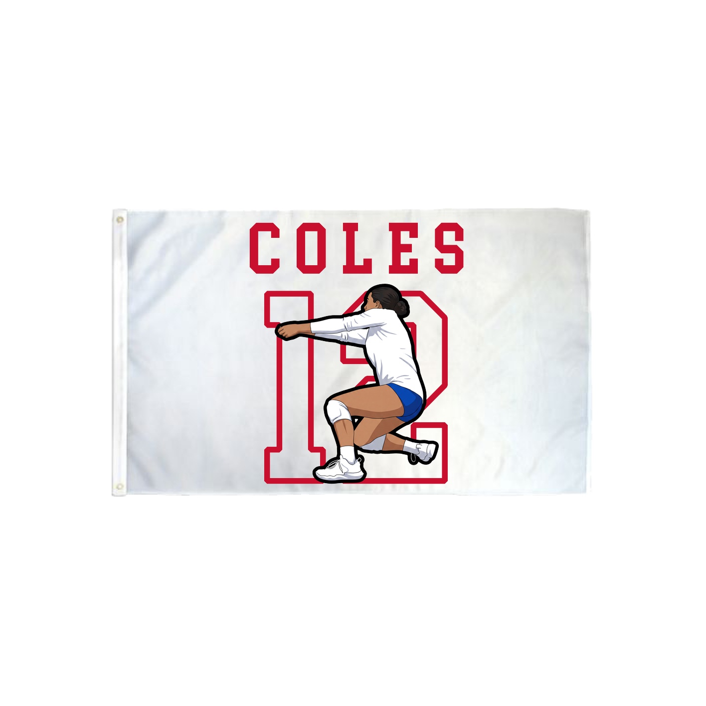 3x5 Flag — Shirsey in Classic