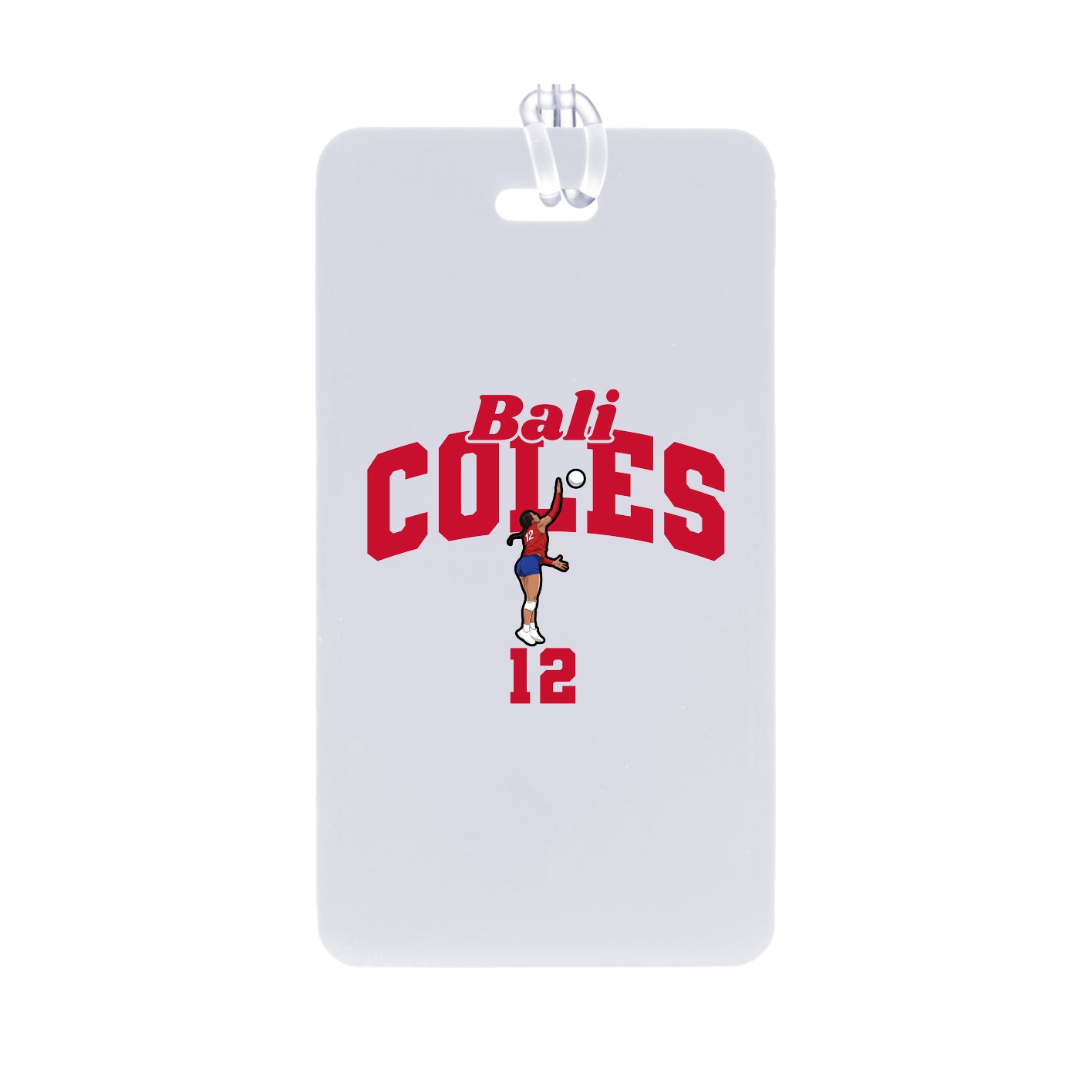 Bag Tag — Signature Arch in Classic