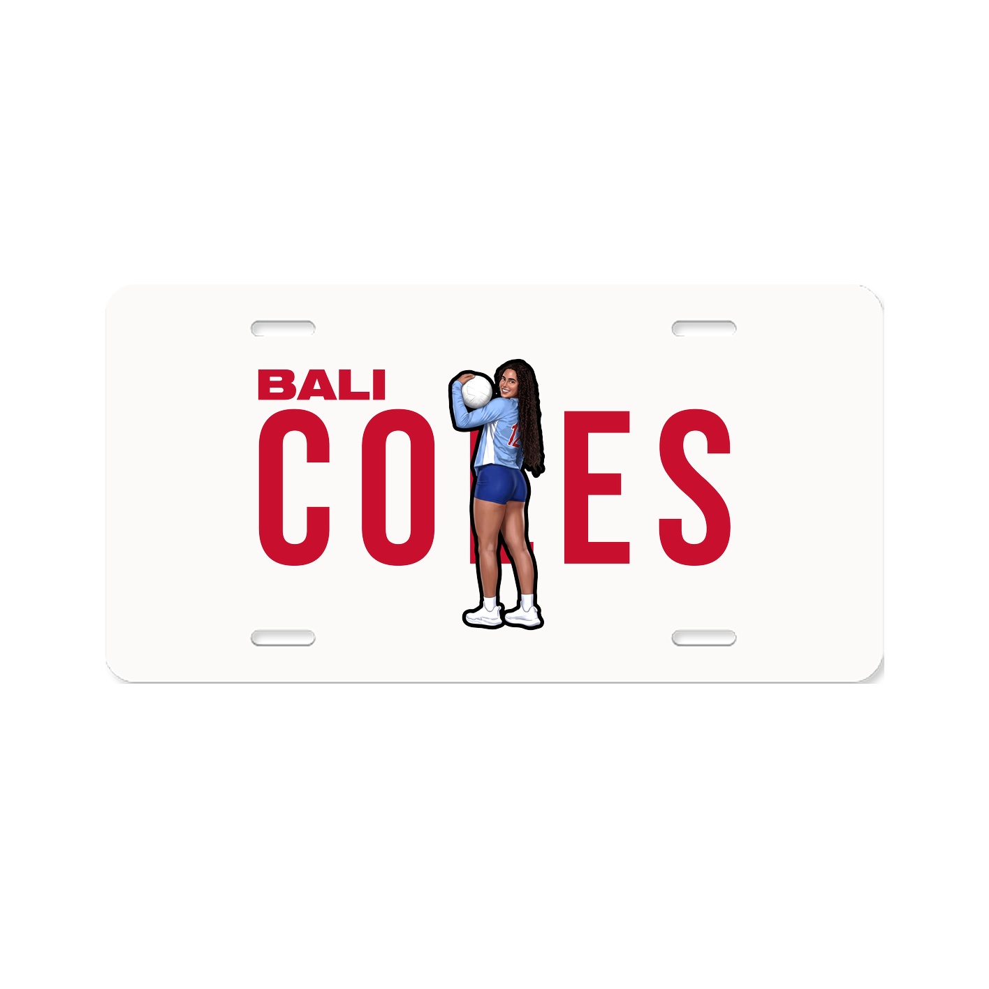 License Plate
