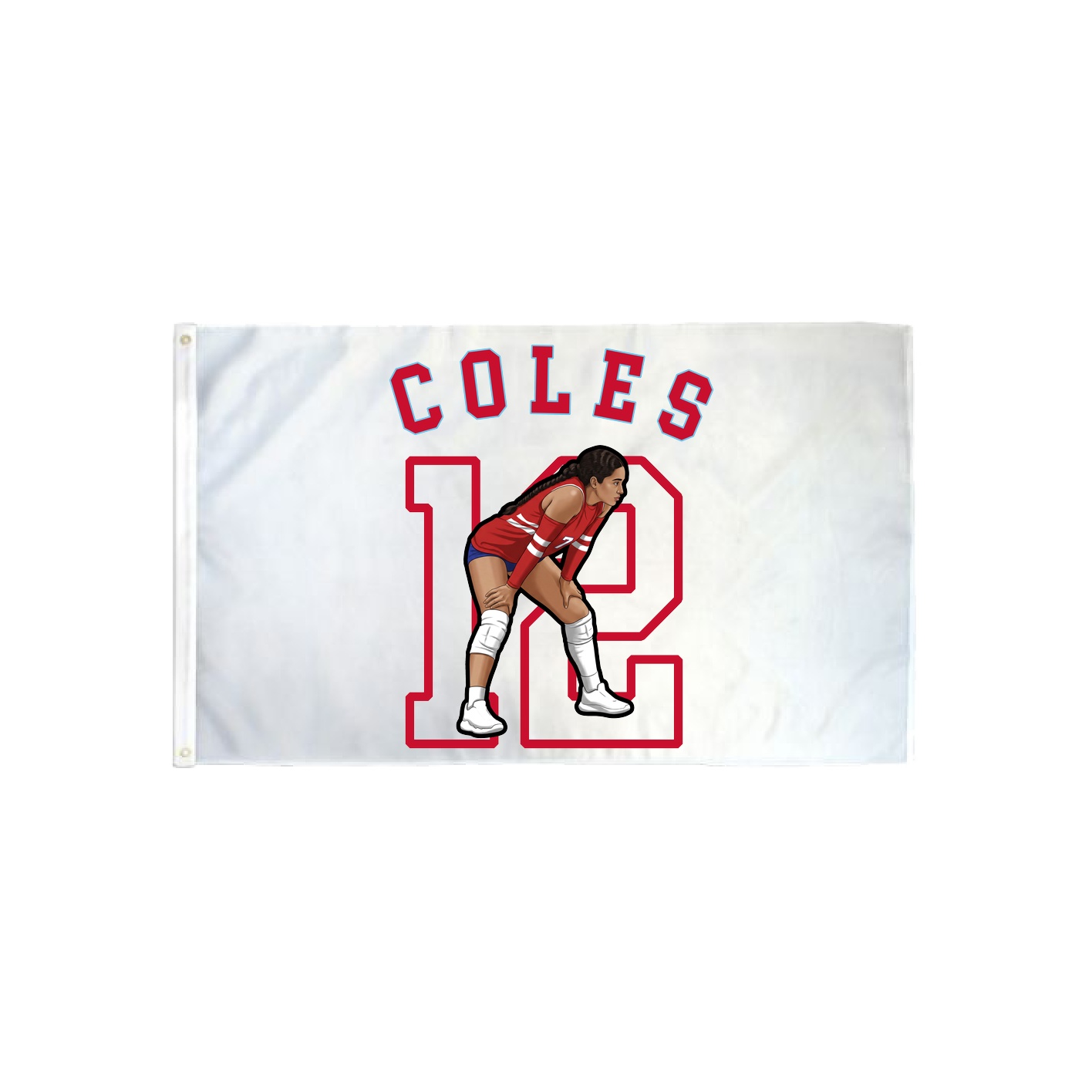 3x5 Flag — Shirsey Arch in Classic