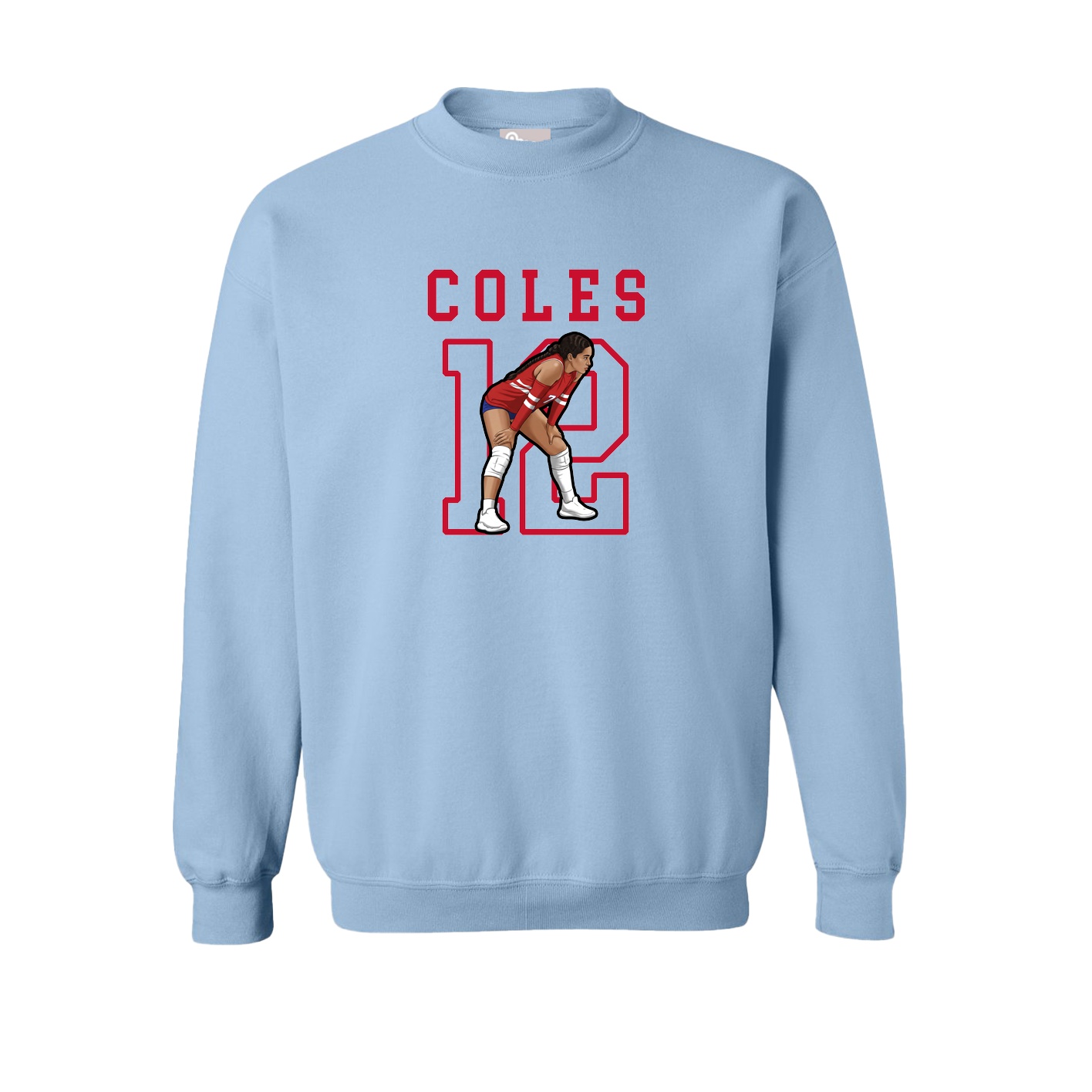 Fleece Crew — Shirsey in Light Blue