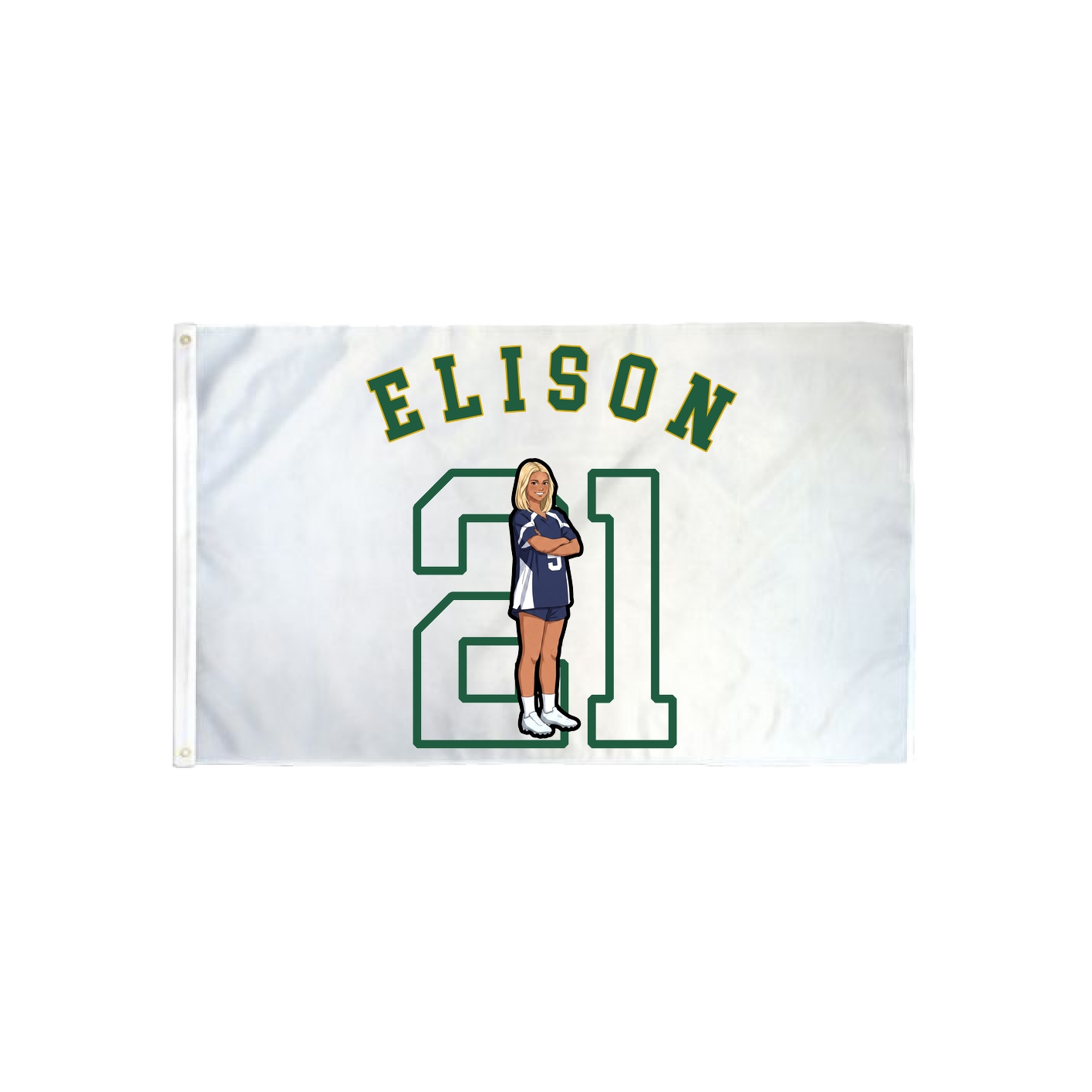 3x5 Flag — Shirsey Arch in Classic