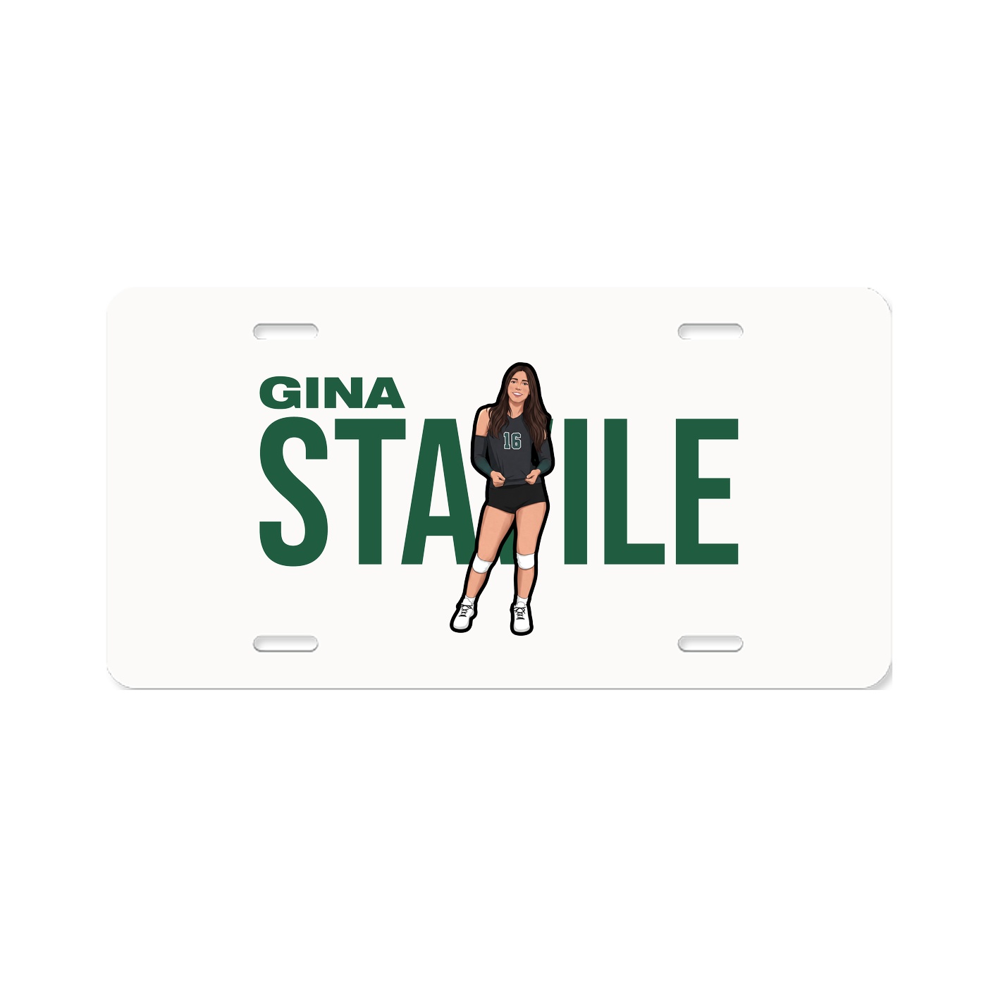 License Plate