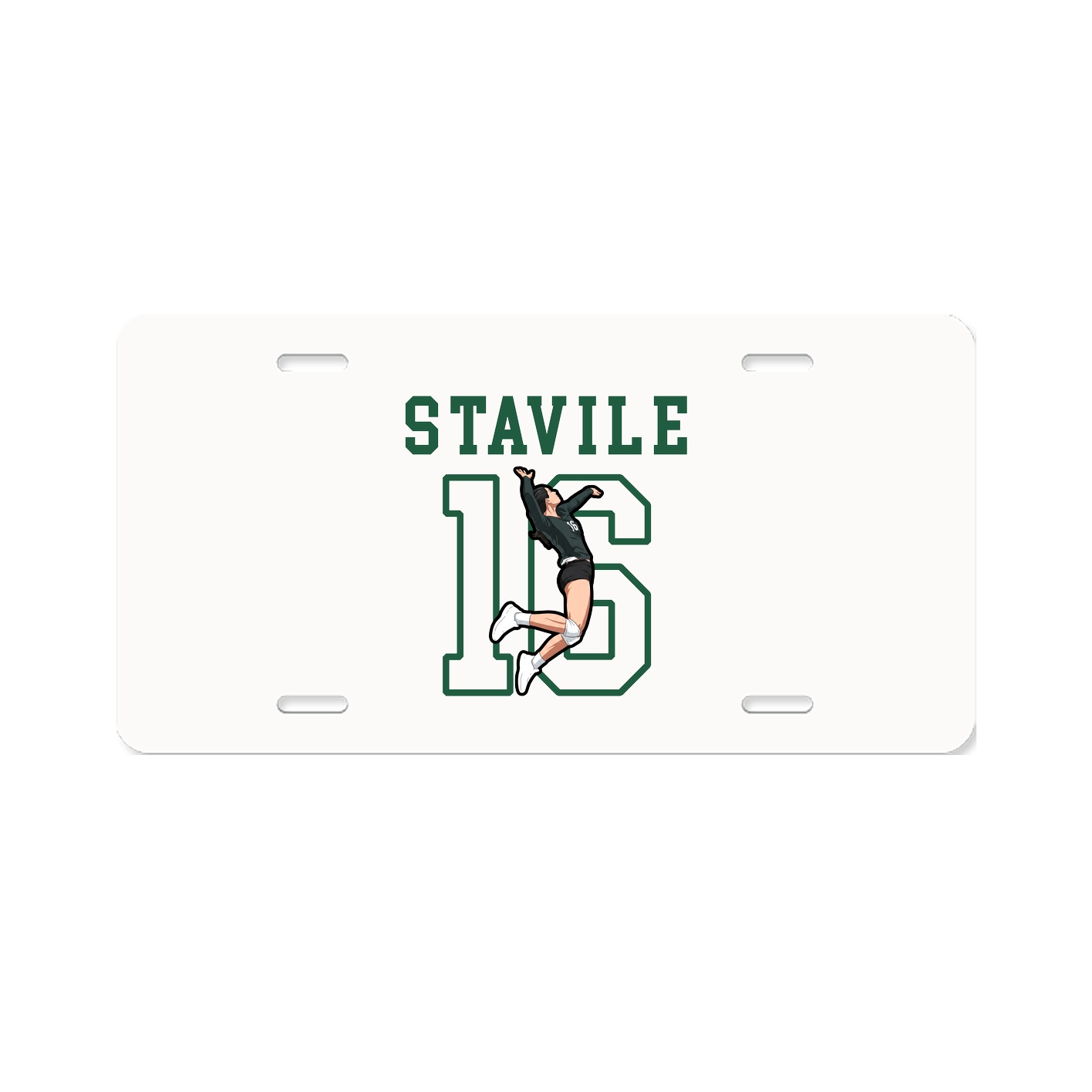 Aluminum License Plate