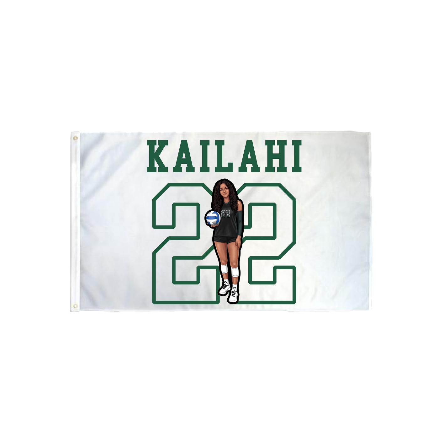 3x5 Flag — Shirsey in Classic