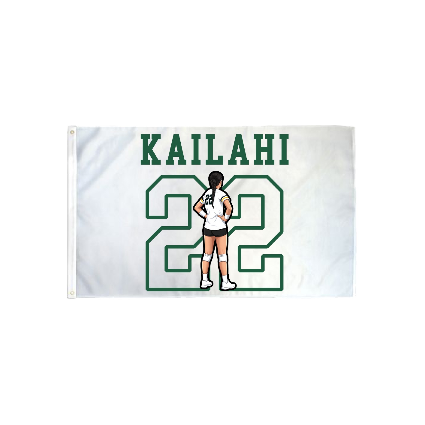 3x5 Flag — Shirsey in Classic