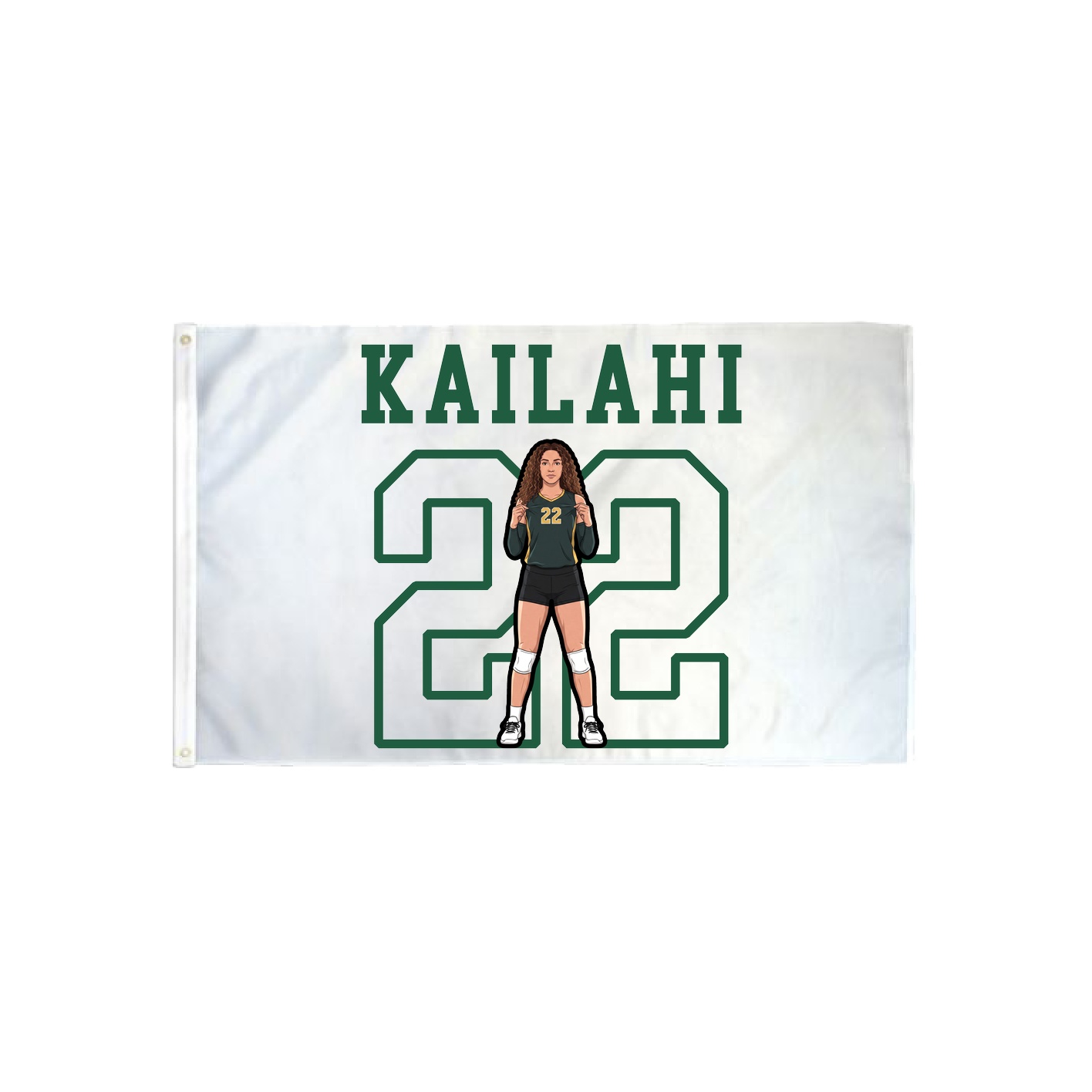 3x5 Flag — Shirsey in Classic