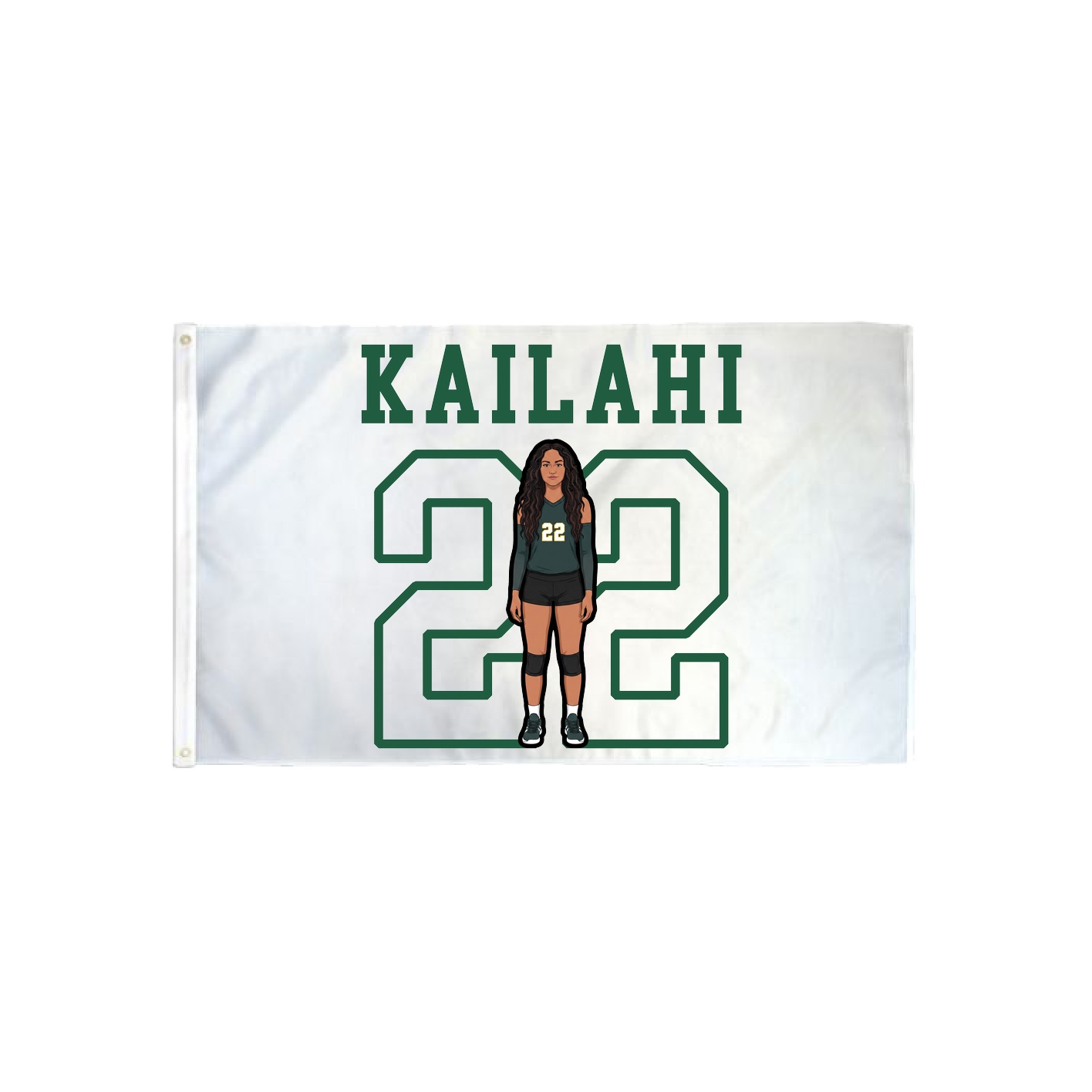 3x5 Flag — Shirsey in Classic