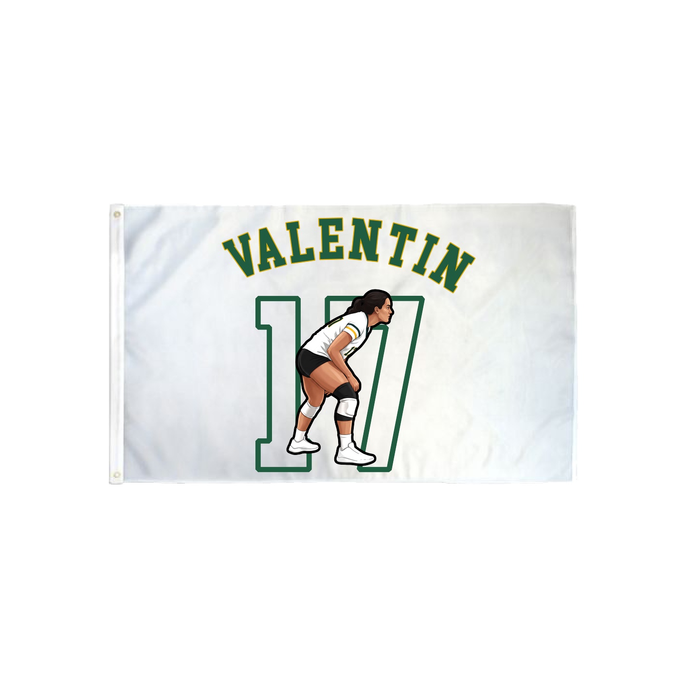 3x5 Flag — Shirsey Arch in Classic