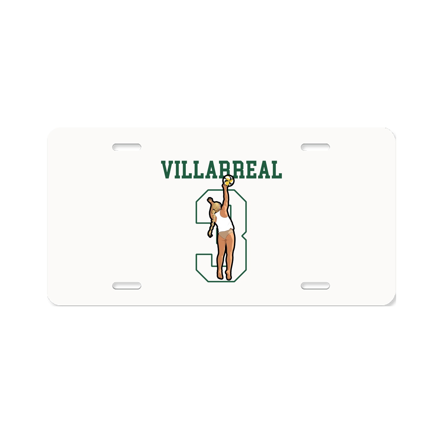 Aluminum License Plate