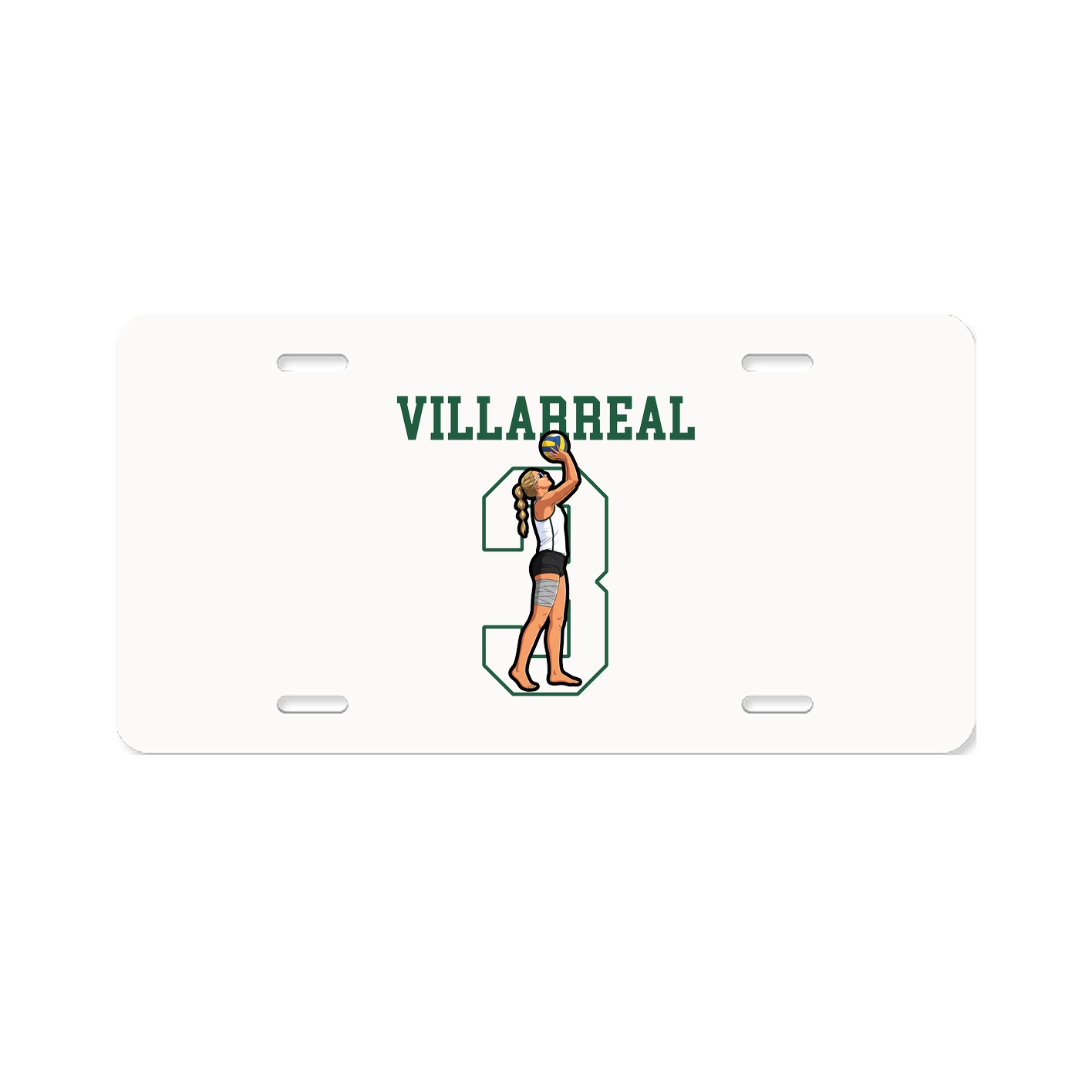 License Plate