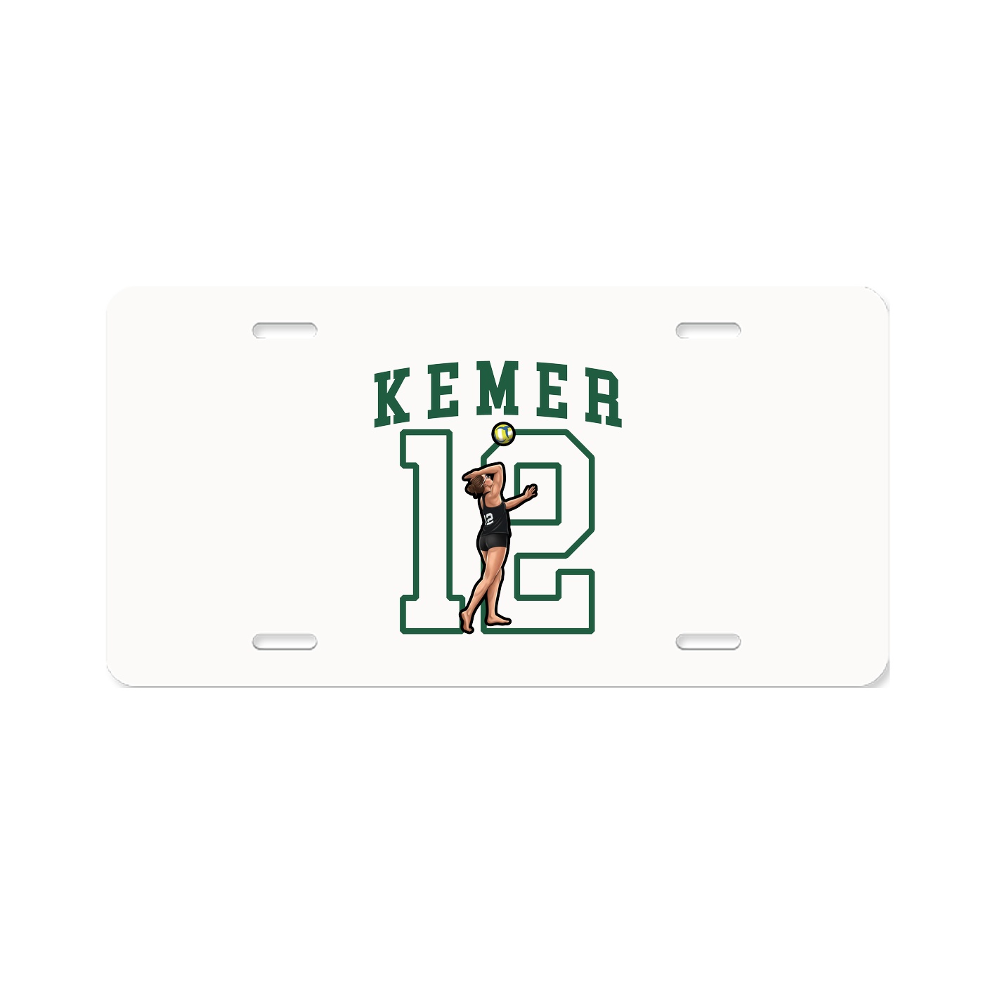 License Plate