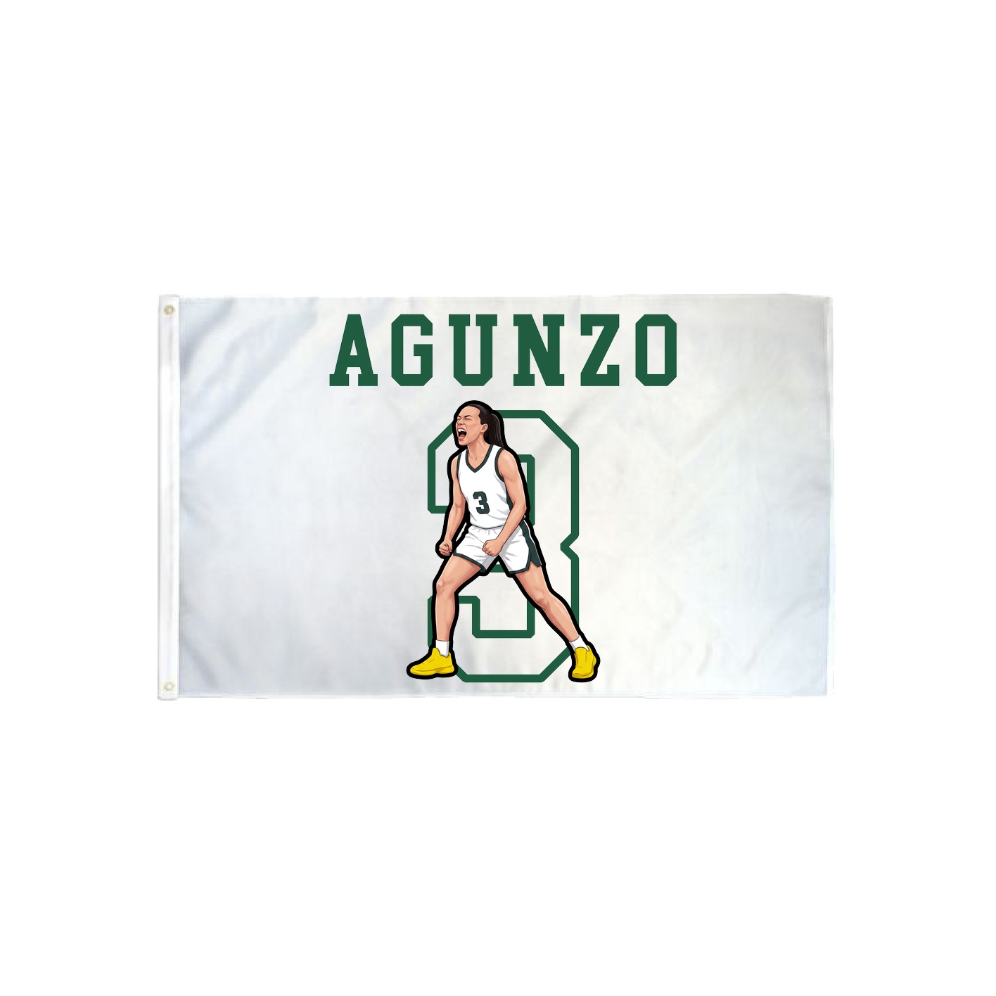 3x5 Flag — Shirsey in Classic