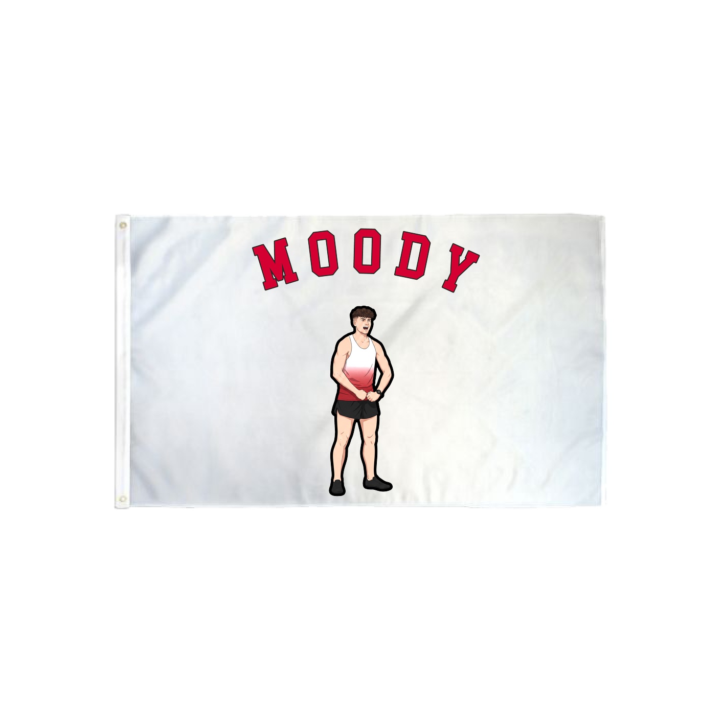3x5 Flag — Shirsey Arch in Classic