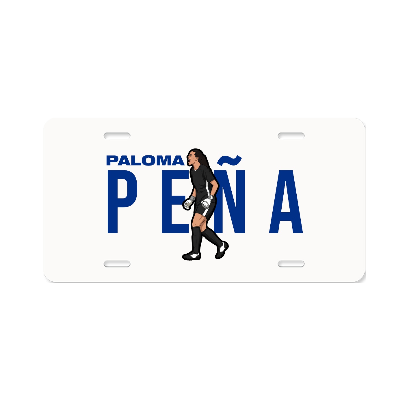 License Plate