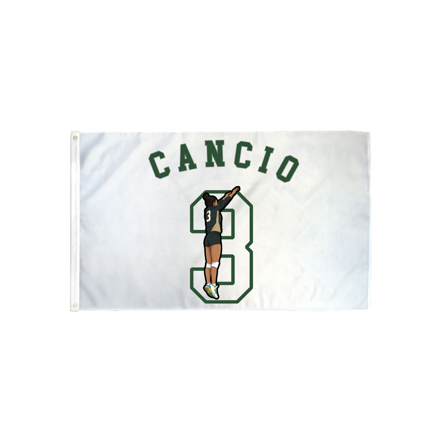 3x5 Flag — Shirsey Arch in Classic
