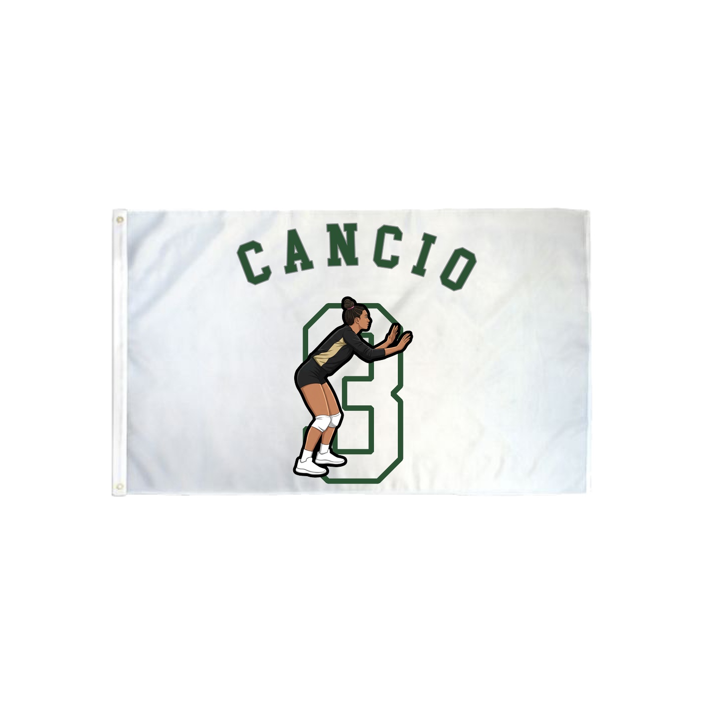 3x5 Flag — Shirsey Arch in Classic