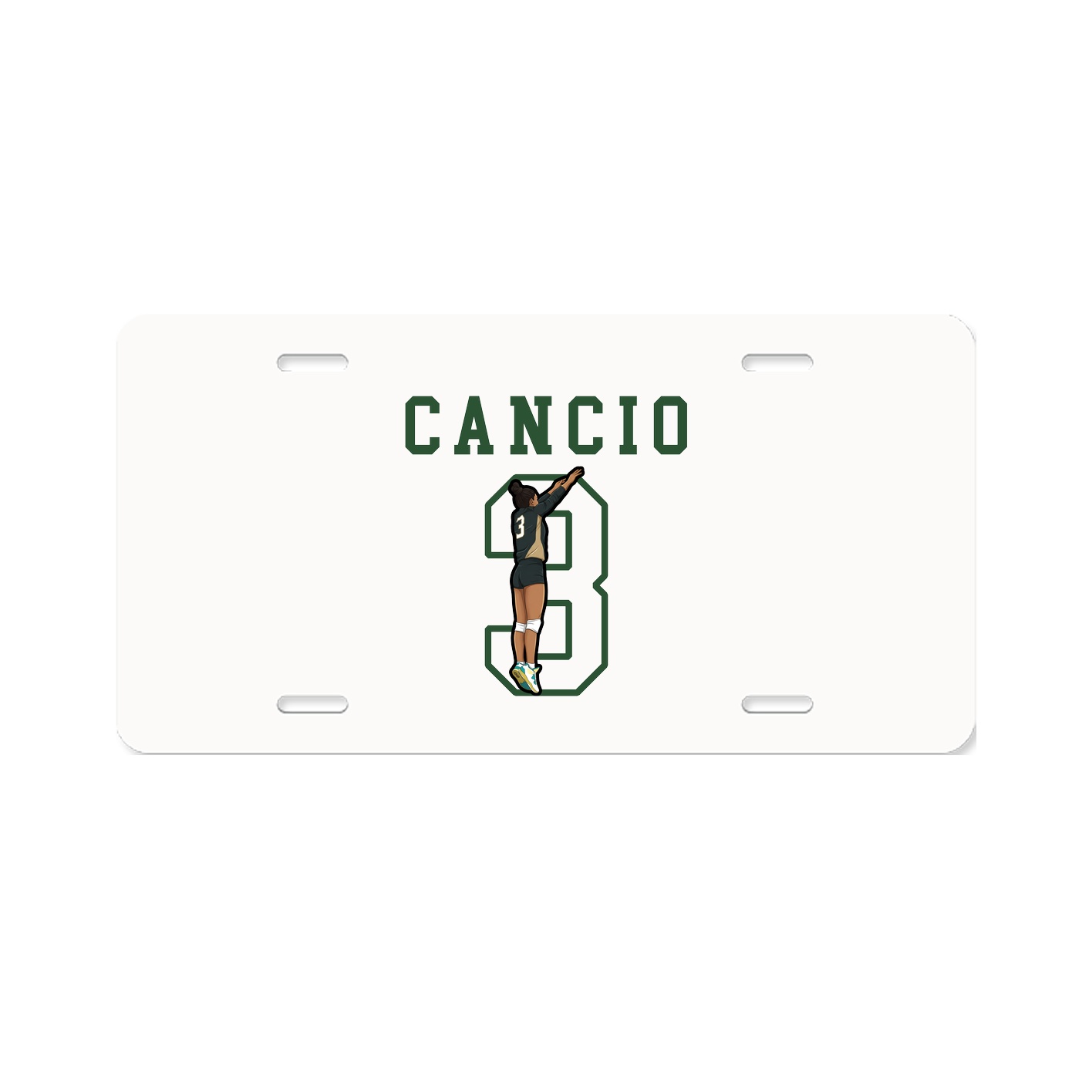 License Plate