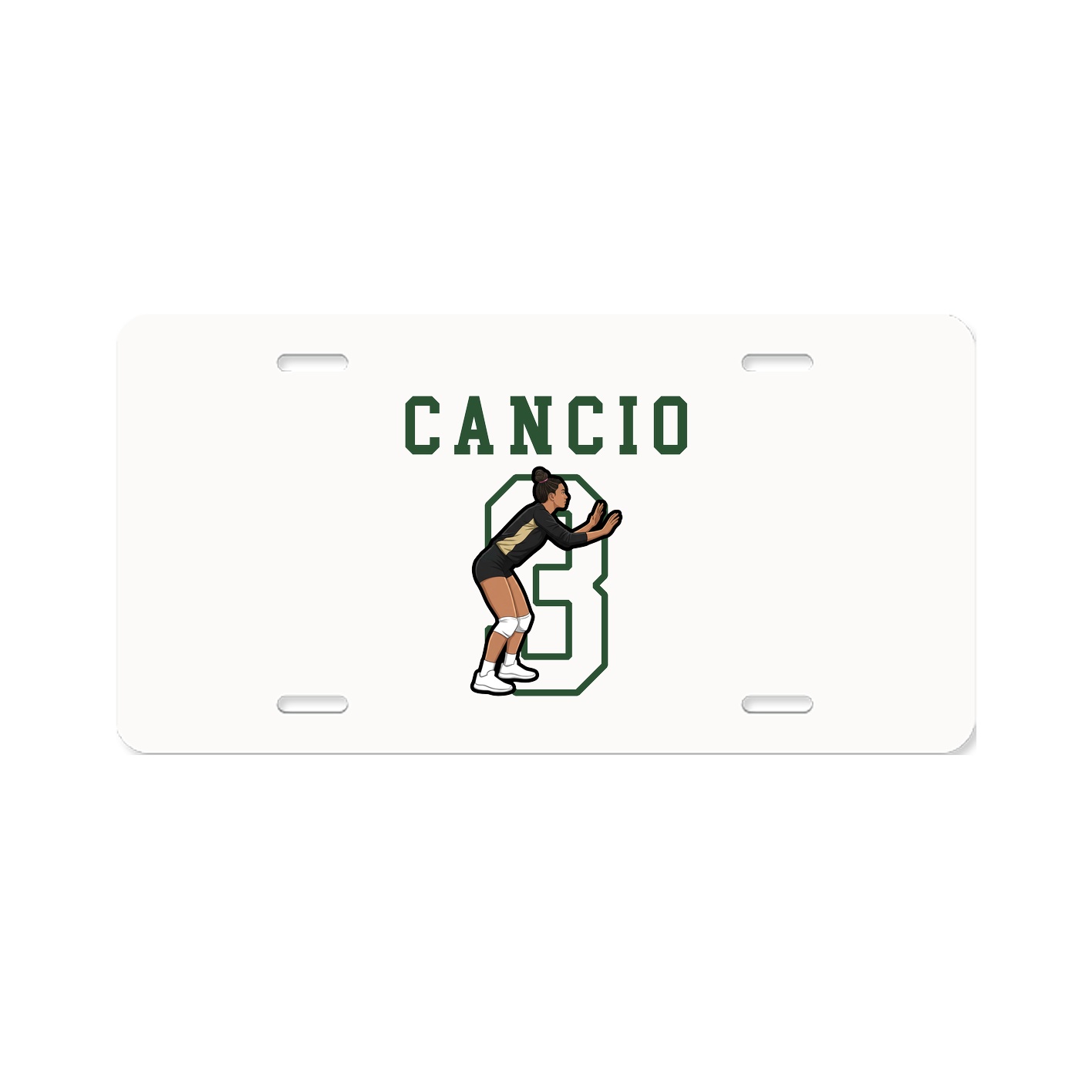 License Plate