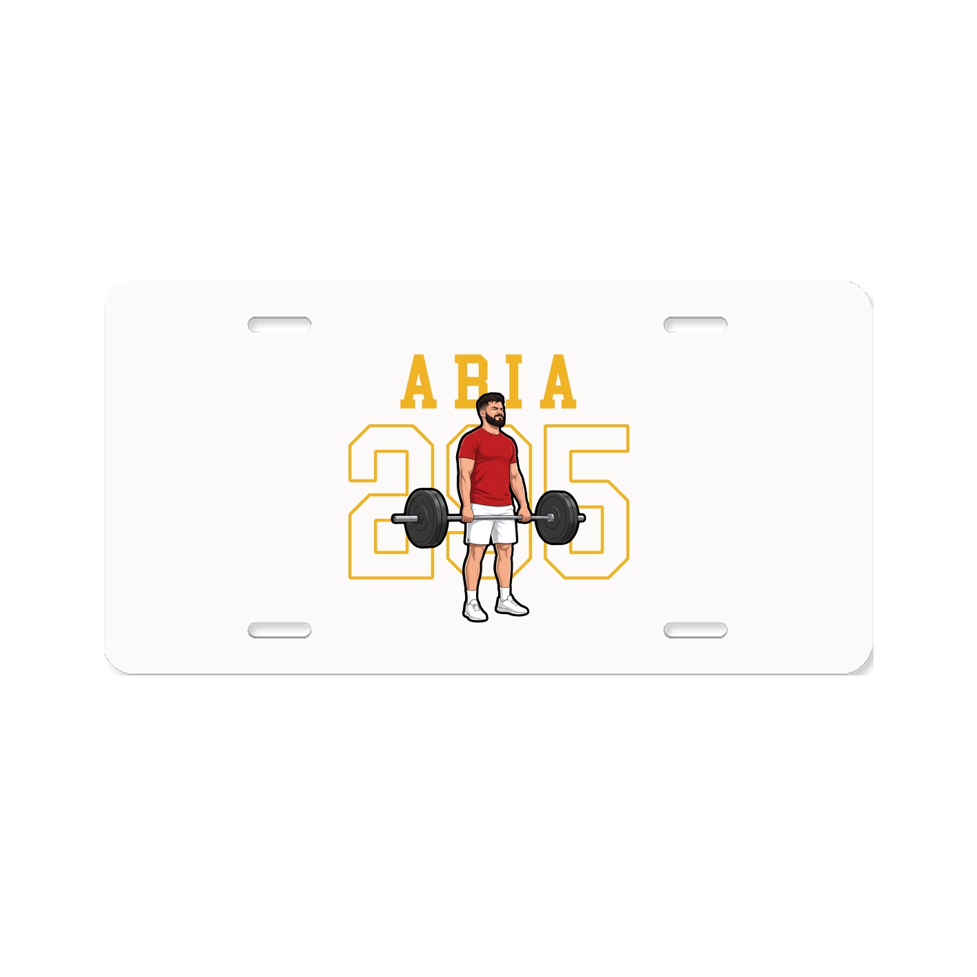 Aluminum License Plate