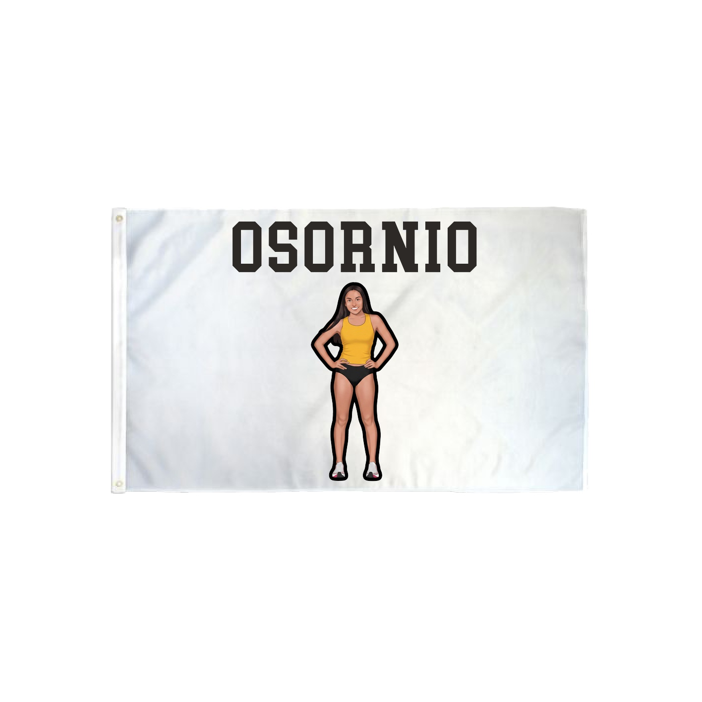 3x5 Flag — Shirsey in Classic