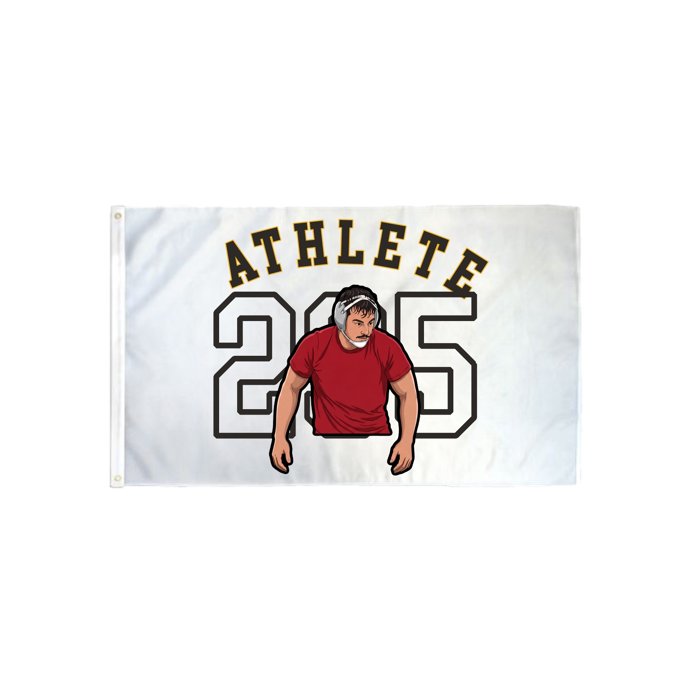 3x5 Flag — Shirsey Arch in Classic