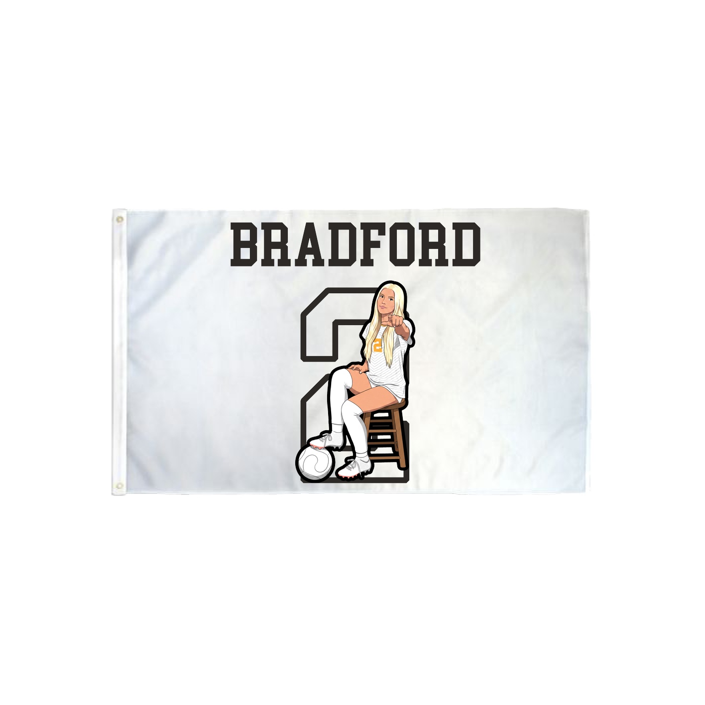 3x5 Flag — Shirsey in Classic