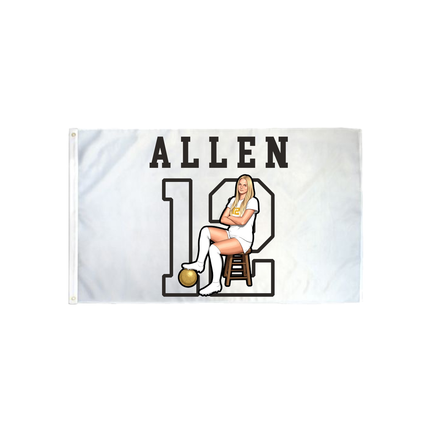 3x5 Flag — Shirsey in Classic