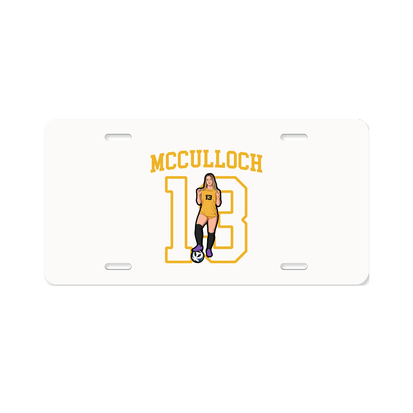 Aluminum License Plate