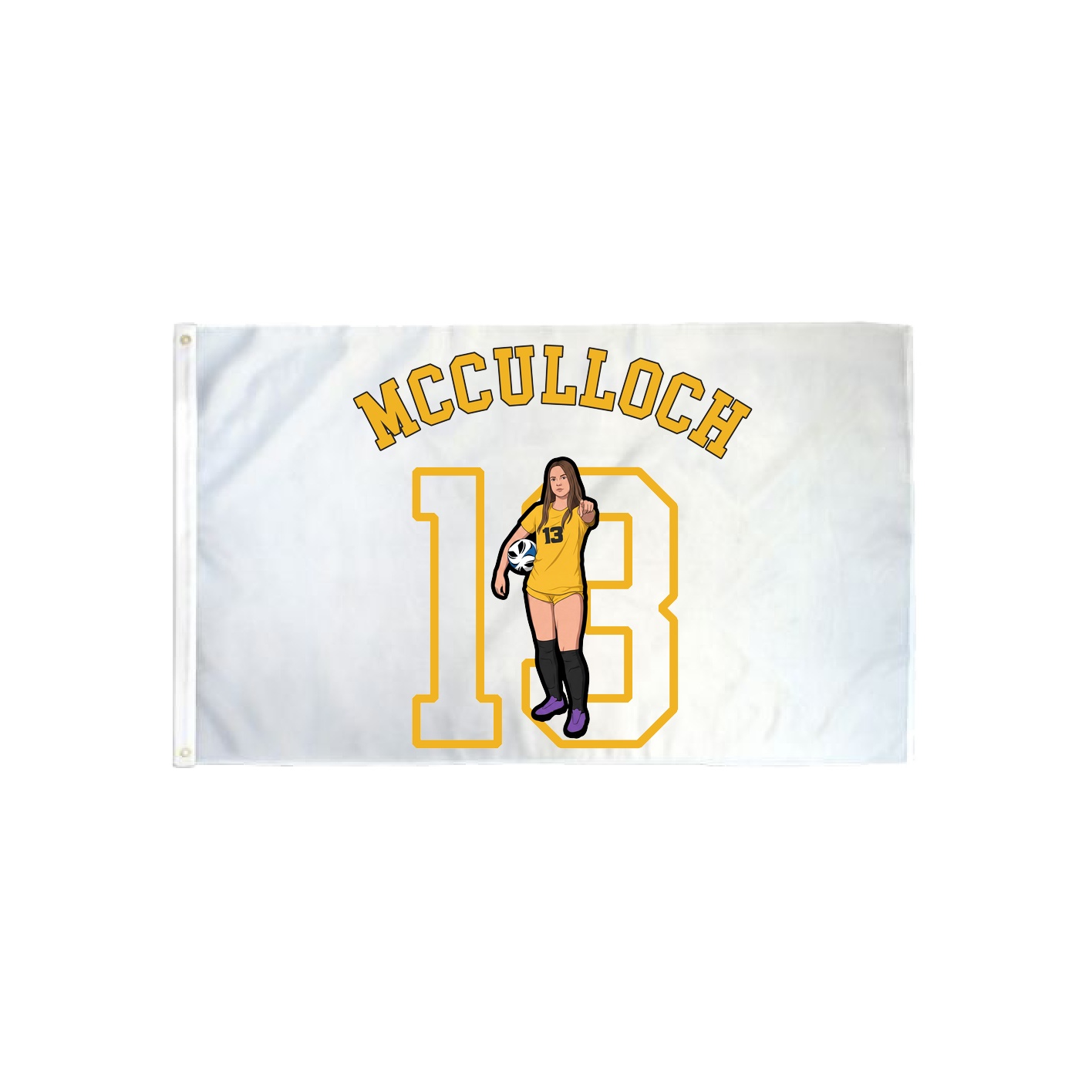 3x5 Flag — Shirsey Arch in Classic