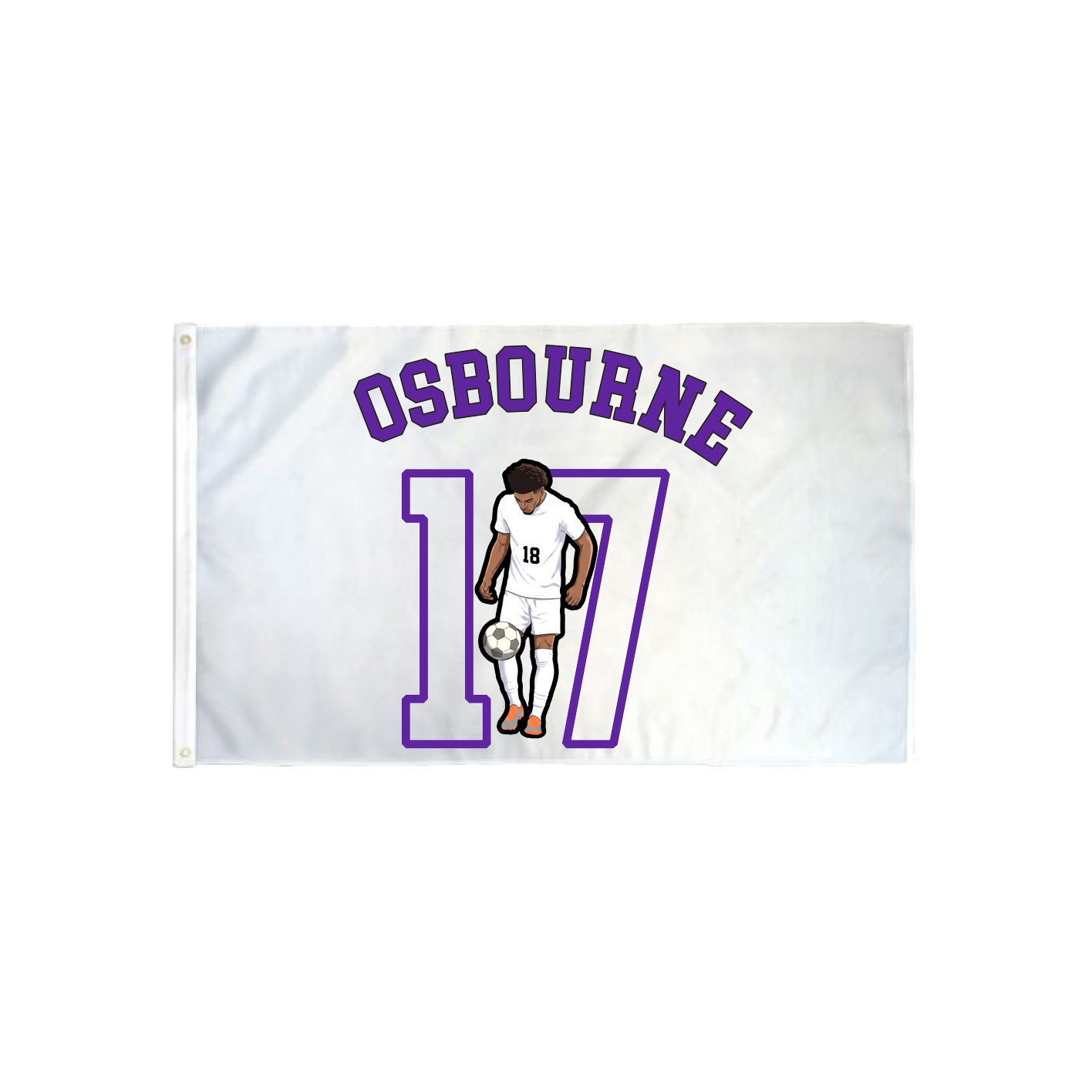 3x5 Flag — Shirsey Arch in Classic