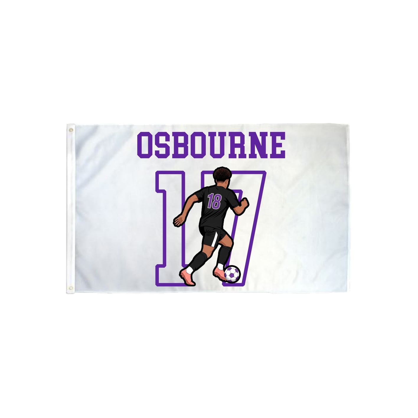 3x5 Flag — Shirsey in Classic