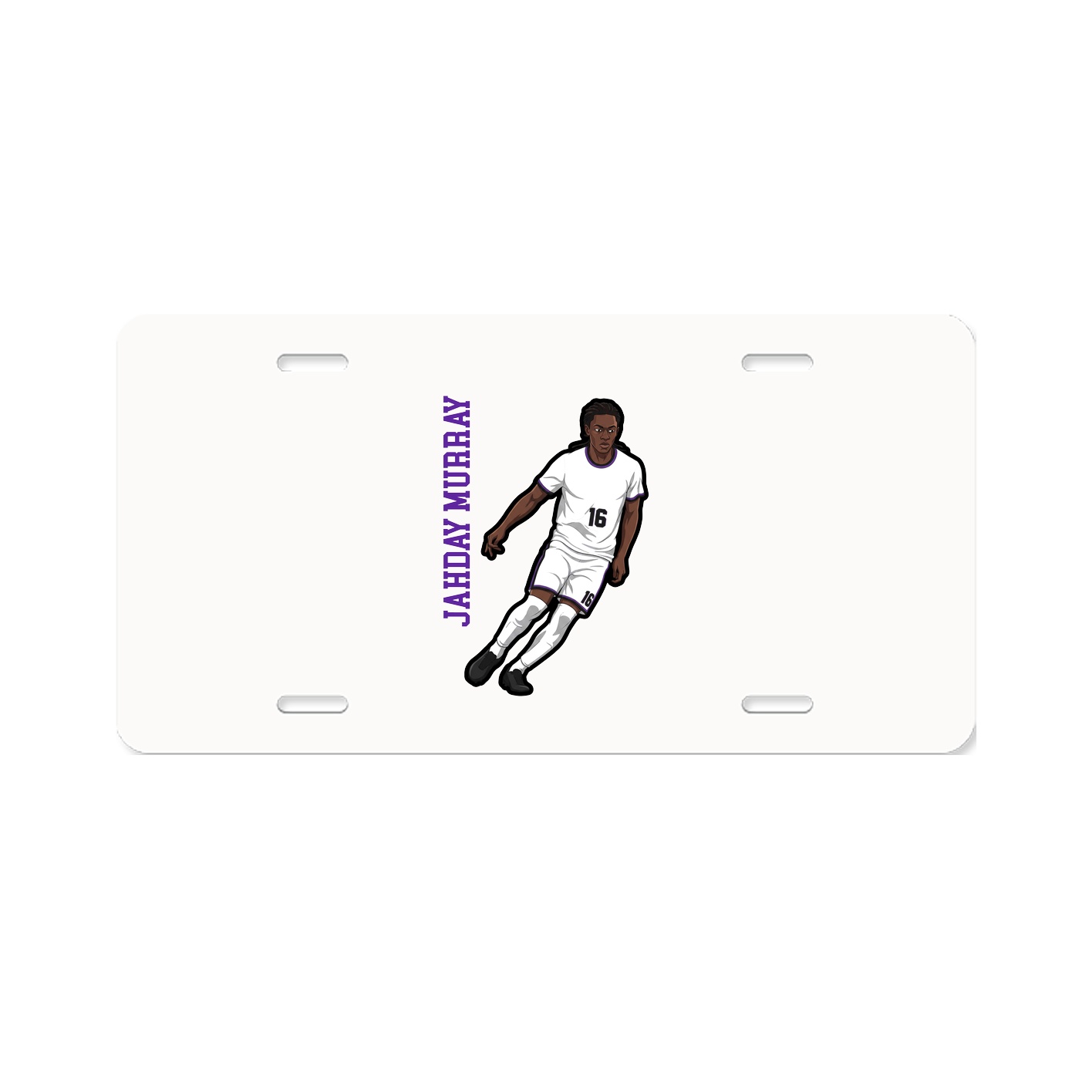 Aluminum License Plate