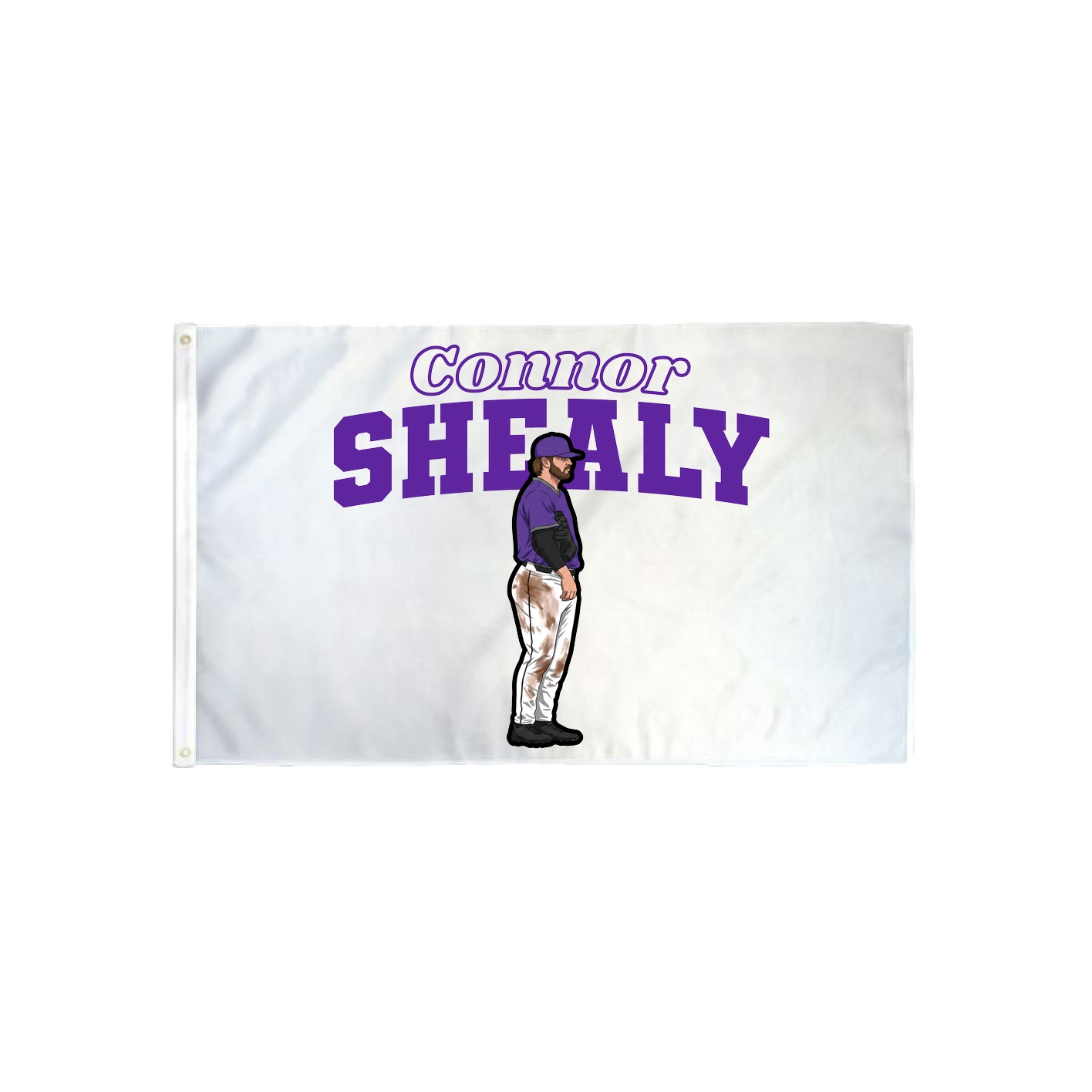 3x5 Flag — Name Arch in Classic