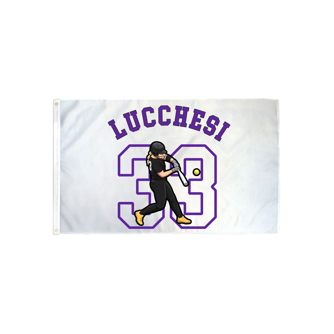 3x5 Flag — Shirsey Arch in Classic