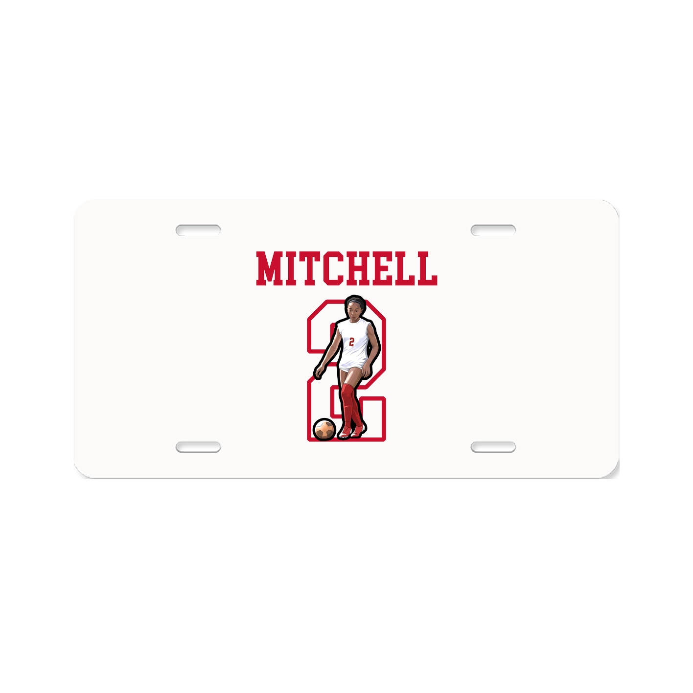 Aluminum License Plate