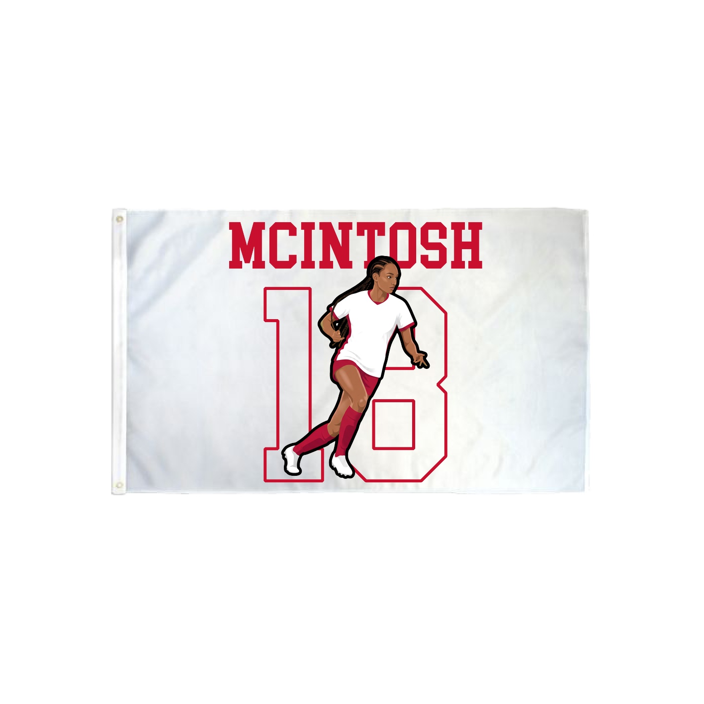 3x5 Flag — Shirsey in Classic