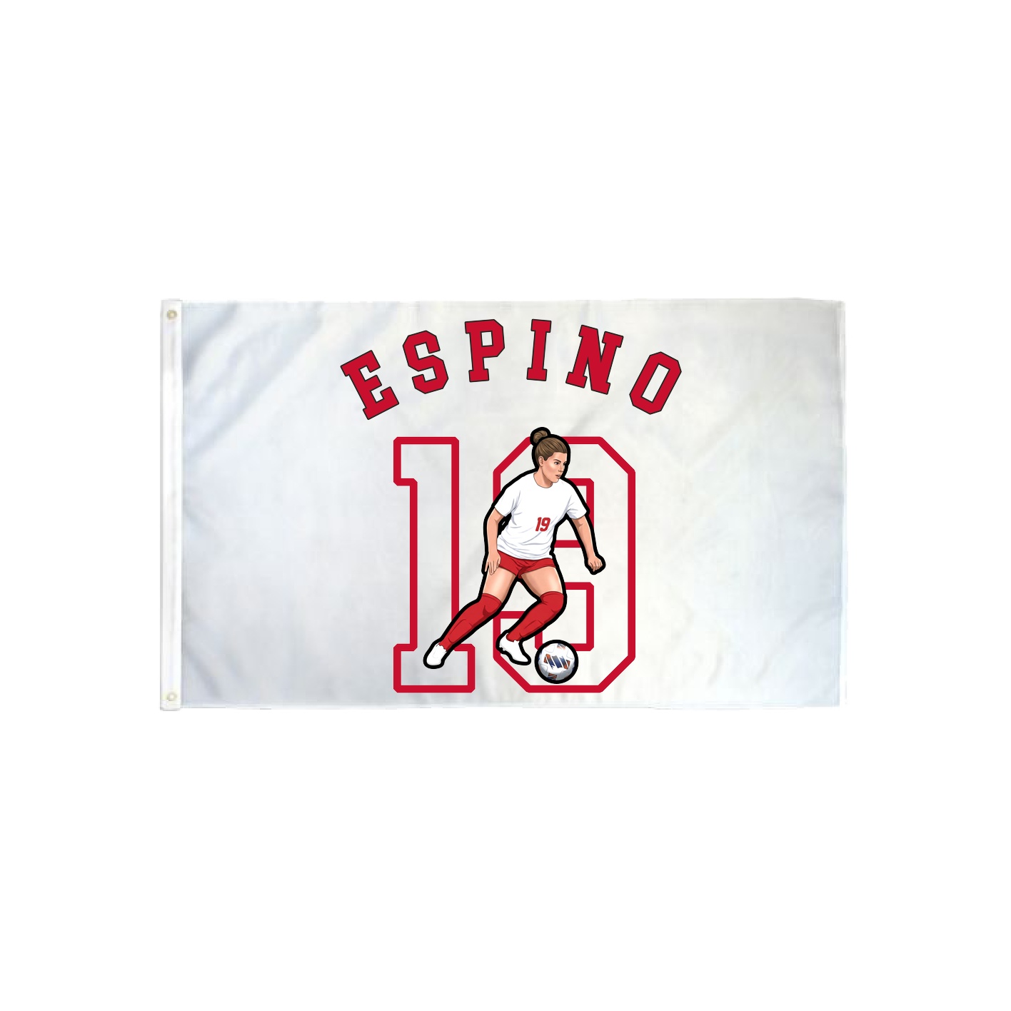 3x5 Flag — Shirsey Arch in Classic