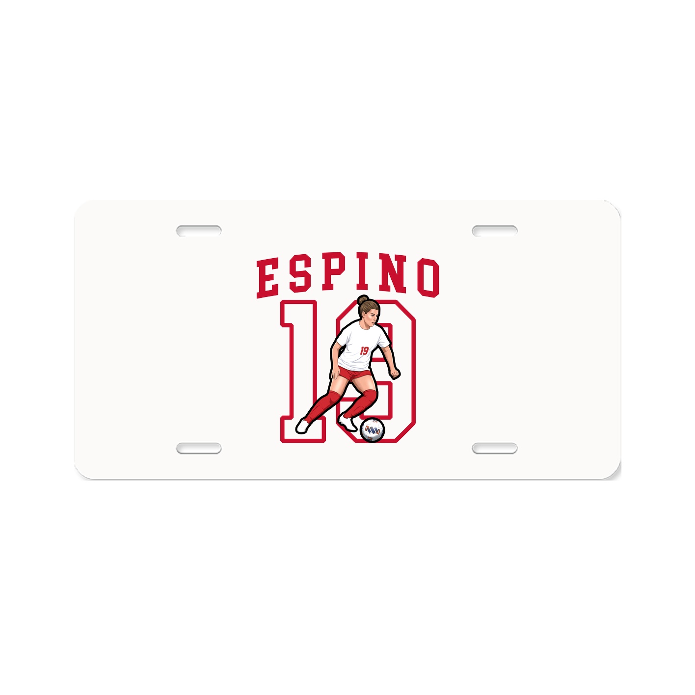 Aluminum License Plate