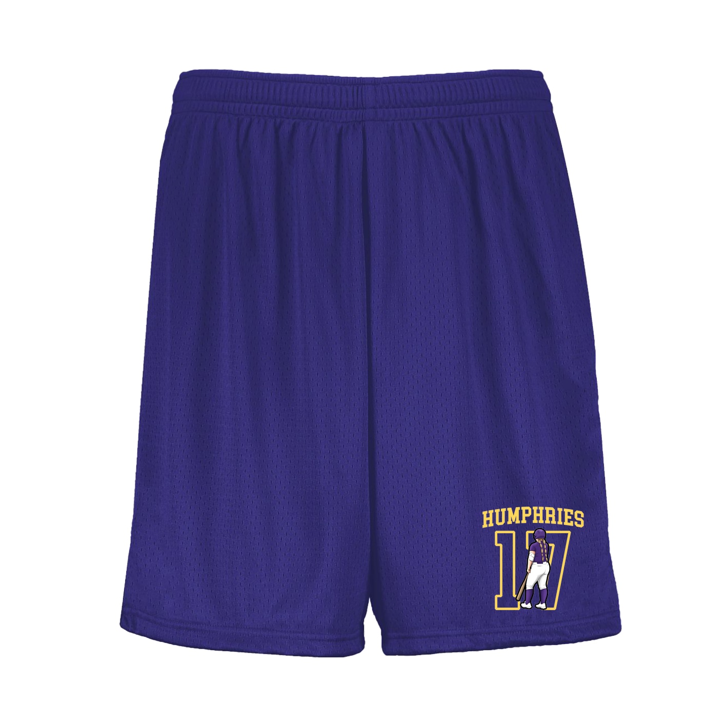 Shorts — Shirsey in Purple