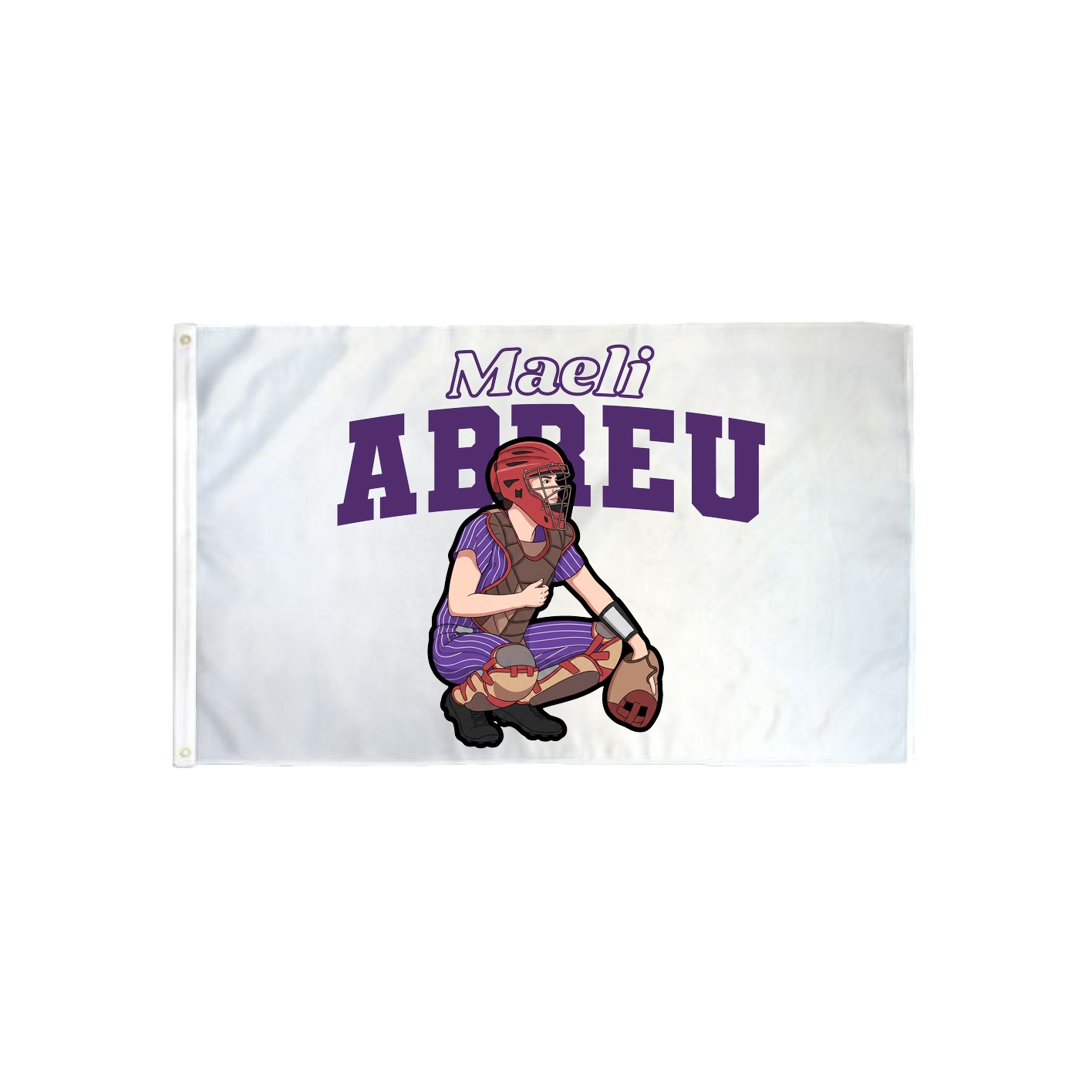 3x5 Flag — Name Arch in Classic