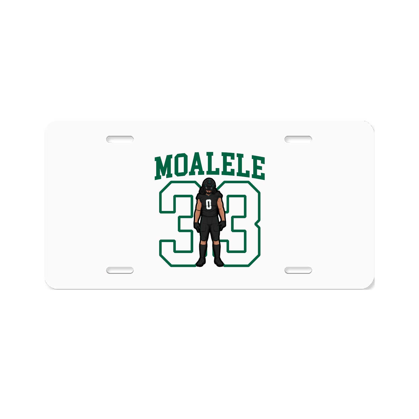 Aluminum License Plate