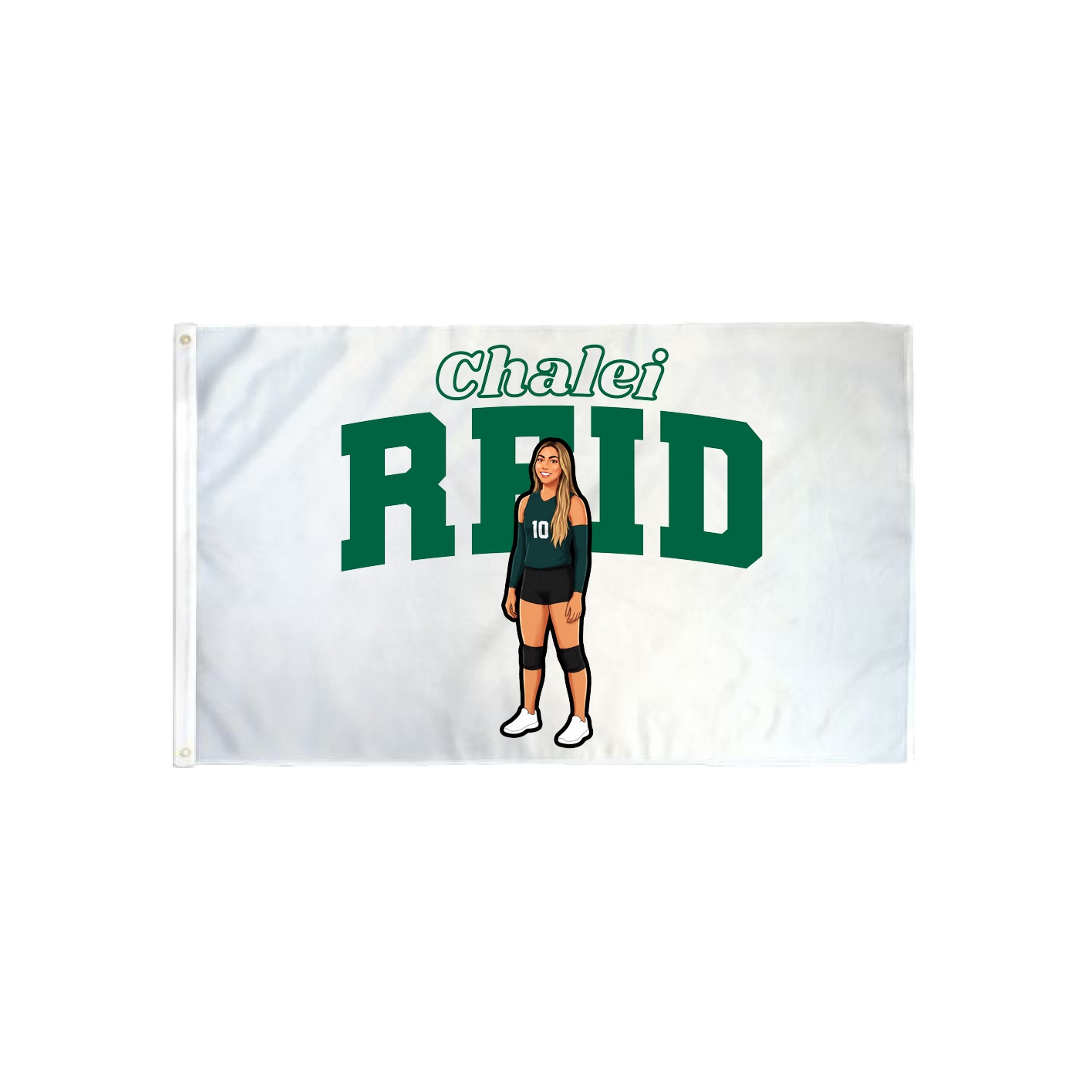 3x5 Flag — Name Arch in Classic