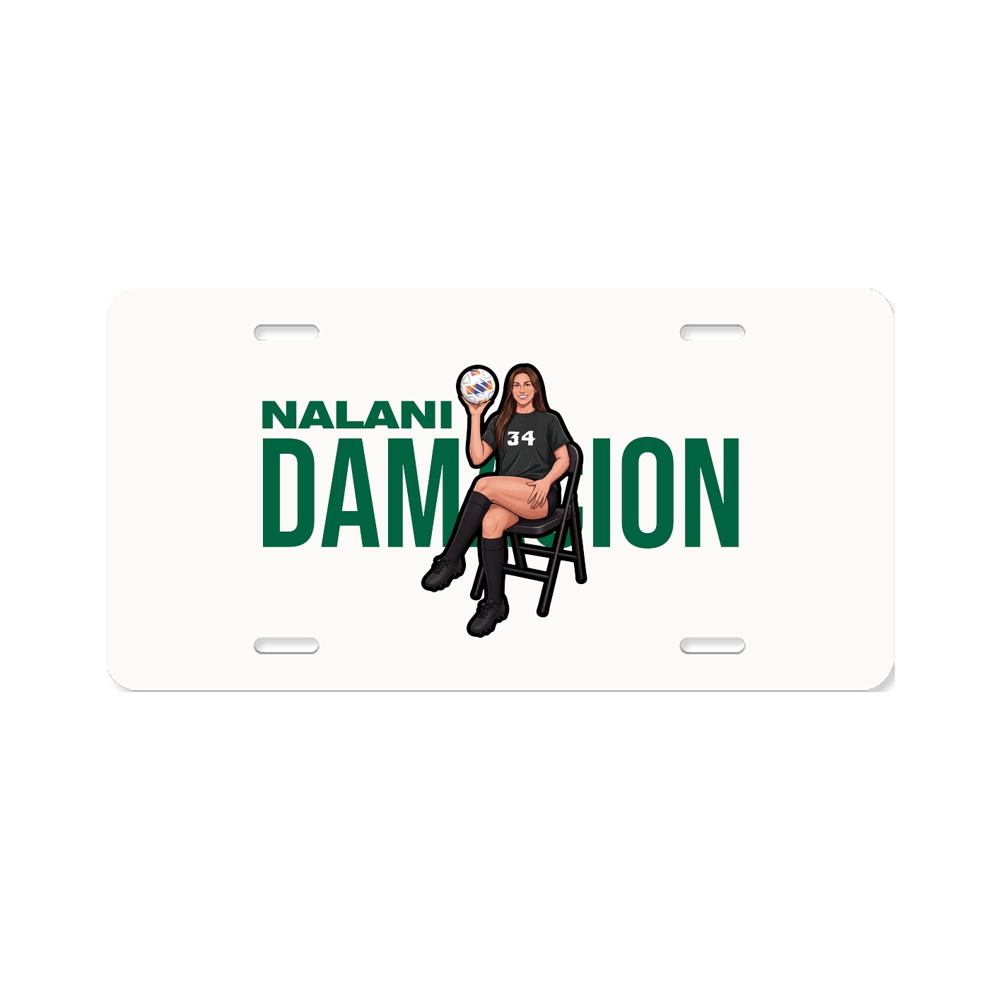 License Plate