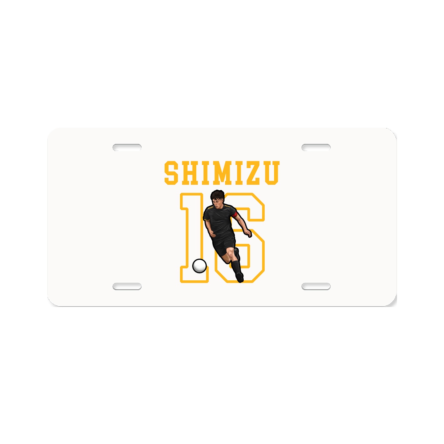 License Plate