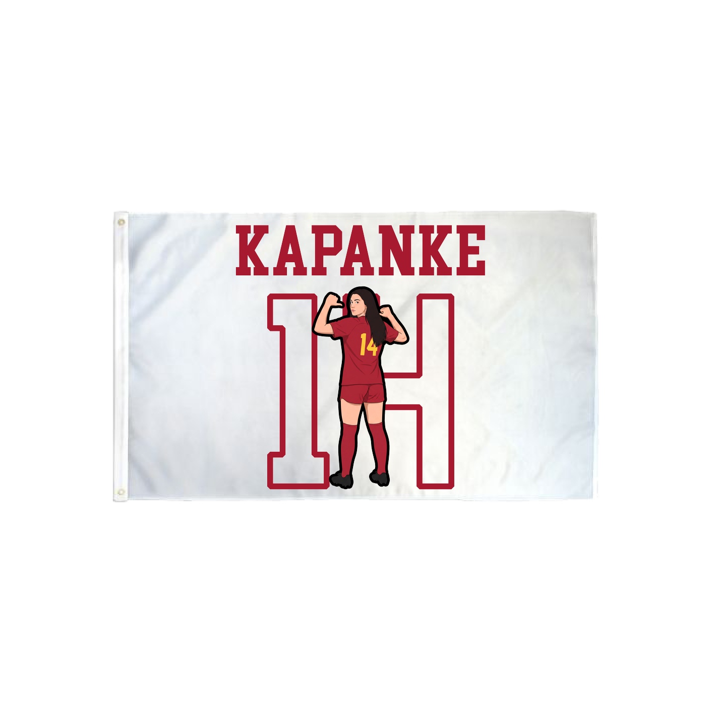 3x5 Flag — Shirsey in Classic