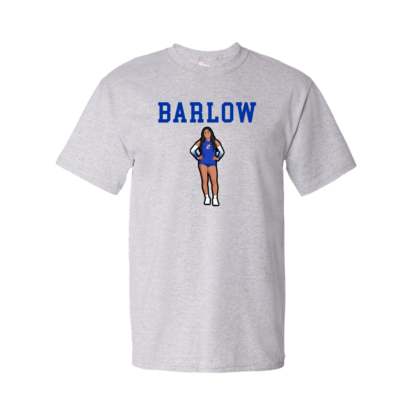 Tee — Shirsey in Grey