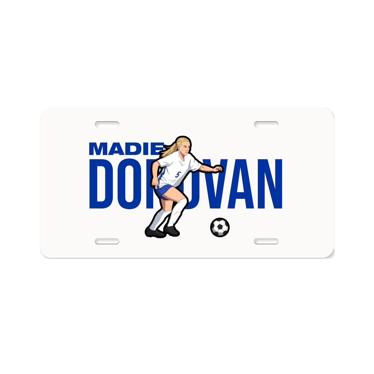 License Plate