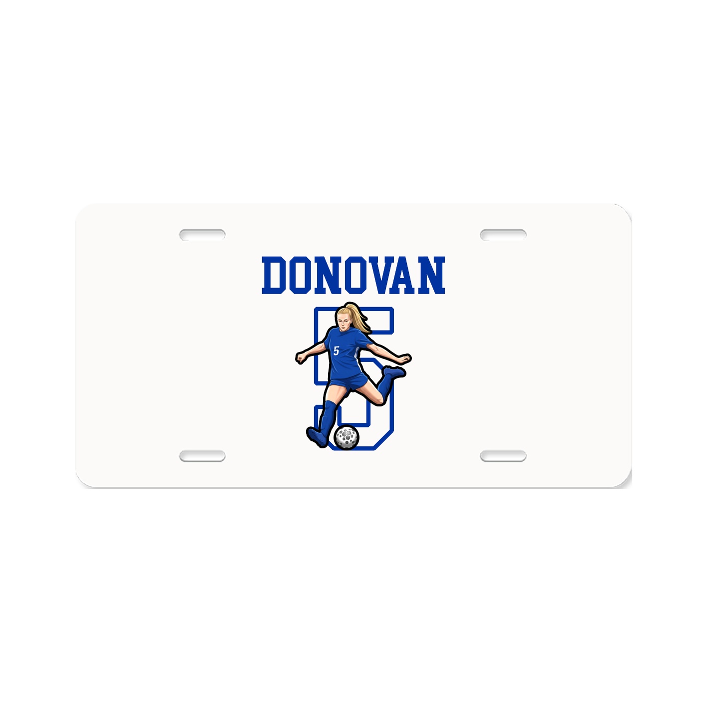 License Plate